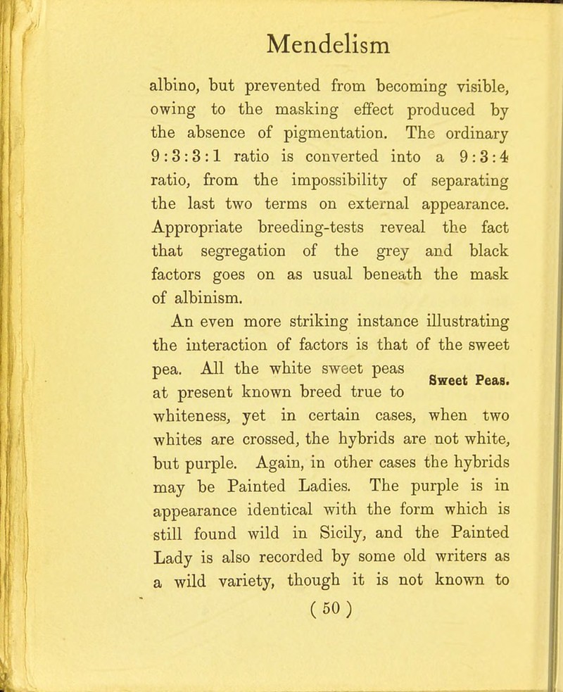 albino, but prevented from becoming visible, owing to the masking effect produced by the absence of pigmentation. The ordinary 9:3:3:1 ratio is converted into a 9:3:4 ratio, from the impossibility of separating the last two terms on external appearance. Appropriate breeding-tests reveal the fact that segregation of the grey and black factors goes on as usual beneath the mask of albinism. An even more striking instance illustrating the interaction of factors is that of the sweet pea. All the white sweet peas Sweet Peas. at present known breed true to whiteness, yet in certain cases, when two whites are crossed, the hybrids are not white, but purple. Again, in other cases the hybrids may be Painted Ladies. The purple is in appearance identical with the form which is still found wild in Sicily, and the Painted Lady is also recorded by some old writers as a wild variety, though it is not known to