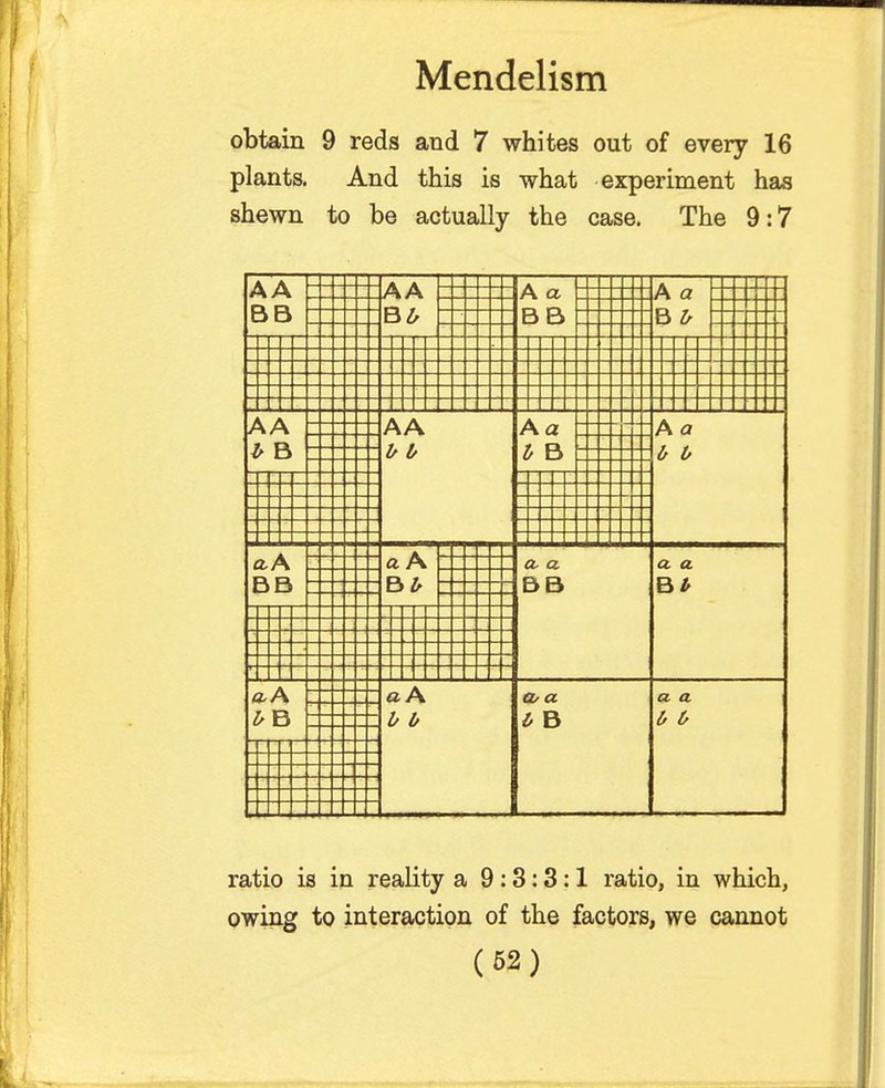 obtain 9 reds and 7 whites out of every 16 plants. And this is what experiment has shewn to be actually the case. The 9:7 AA AA A A. CL a BB U ti fci b AA AA Aa Pi a I B b b b B 0 b A a P\ a a a. a. BB BB B b tl f a Pi. a a, a a a u o ^ o ratio is in reality a 9:3:3:1 ratio, in which, owing to interaction of the factors, we cannot