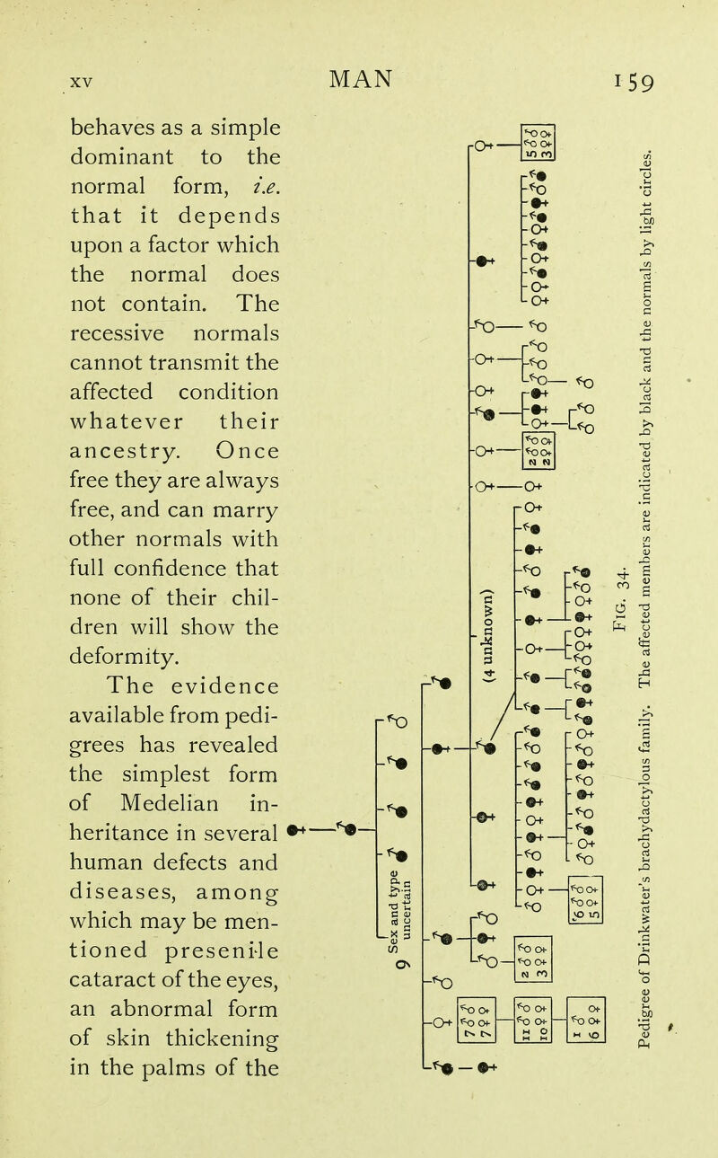 behaves as a simple dominant to the normal form, i.e. that it depends upon a factor which the normal does not contain. The recessive normals cannot transmit the affected condition whatever their ancestry. Once free they are always free, and can marry other normals with full confidence that none of their chil- dren will show the deformity. The evidence available from pedi- grees has revealed the simplest form of Medelian in- heritance in several human defects and diseases, among which may be men- tioned presenMe cataract of the eyes, an abnormal form of skin thickening in the palms of the —r ON Ol- io fO •+ 0+ o N N Oh- O Of 0+ 0+ o ■ 0+ a* I - 0+ —I'XJOl- ^ o -CH ^ 0 ^ Of 0^ ^Sd Of 'X) 0+ ^ Of H 0 H VO