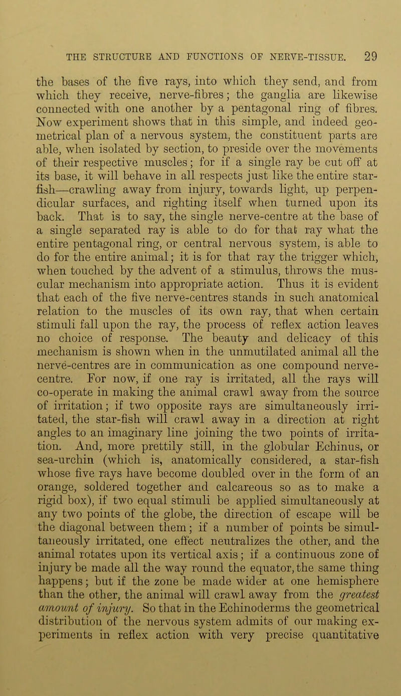 the bases of the five rays, into which they send, and from which they receive, nerve-fibres; the ganglia are likewise connected with one another by a pentagonal ring of fibres. Now experiment shows that in this simple, and indeed geo- metrical plan of a nervous system, the constituent parts are able, when isolated by section, to preside over the movements of their respective muscles; for if a single ray be cut off at its base, it will behave in all respects just like the entire star- fish—crawling away from injury, towards light, up perpen- dicular surfaces, and righting itself when turned upon its back. That is to say, the single nerve-centre at the base of a single separated ray is able to do for that ray what the entire pentagonal ring, or central nervous system, is able to do for the entire animal; it is for that ray the trigger which, when touched by the advent of a stimulus, throws the mus- cular mechanism into appropriate action. Thus it is evident that each of the five nerve-centres stands in such anatomical relation to the muscles of its own ray, that when certain stimuli fall upon the ray, the process of reflex action leaves no choice of response. The beauty and delicacy of this mechanism is shown when in the unmutilated animal all the nerve-centres are in communication as one compound nerve- centre. For now, if one ray is irritated, all the rays will co-operate in making the animal crawl away from the source of irritation; if two opposite rays are simultaneously irri- tated, the star-fish will crawl away in a direction at right angles to an imaginary line joining the two points of irrita- tion. And, more prettily still, in the globular Echinus, or sea-urchin (which is, anatomically considered, a star-fish whose five rays have become doubled over in the form of an orange, soldered together and calcareous so as to make a rigid box), if two equal stimuli be applied simultaneously at any two points of the globe, the direction of escape will be the diagonal between them; if a number of points be simul- taneously irritated, one effect neutralizes the other, and the animal rotates upon its vertical axis; if a continuous zone of injury be made all the way round the equator, the same thing happens; but if the zone be made wider at one hemisphere than the other, the animal will crawl away from the greatest amount of injury. So that in the Echinoderms the geometrical distribution of the nervous system admits of our making ex- periments in reflex action with very precise quantitative