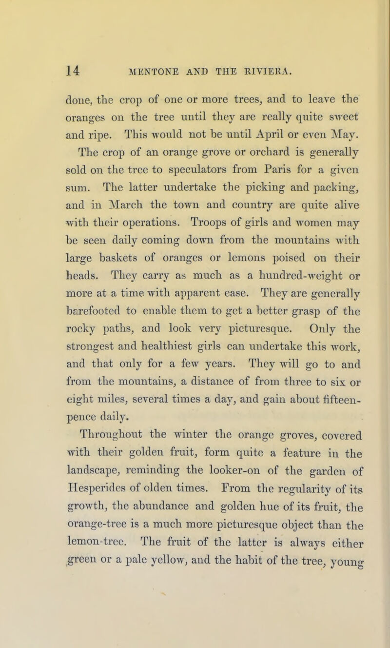 done, the crop of one or more trees, and to leave the oranges on the tree until they are really quite sweet and ripe. This would not be until April or even May. The crop of an orange grove or orchard is generally sold on the tree to speculators from Paris for a given sum. The latter undertake the picking and packing, and in March the town and country are quite alive with their operations. Troops of girls and women may be seen daily coming down from the mountains with large baskets of oranges or lemons poised on their heads. They carry as much as a hundred-weight or more at a time with apparent ease. They are generally barefooted to enable them to get a better grasp of the rocky paths, and look very picturesque. Only the strongest and healthiest girls can undertake this work, and that only for a few years. They will go to and from the mountains, a distance of from three to six or eight miles, several times a day, and gain about fifteen- pence daily. Throughout the winter the orange groves, covered with their golden fruit, form quite a feature in the landscape, reminding the looker-on of the garden of Hesperides of olden times. From the regularity of its growth, the abundance and golden hue of its fruit, the orange-tree is a much more picturesque object than the lemon-tree. The fruit of the latter is always either green or a pale yellow, and the habit of the tree, young