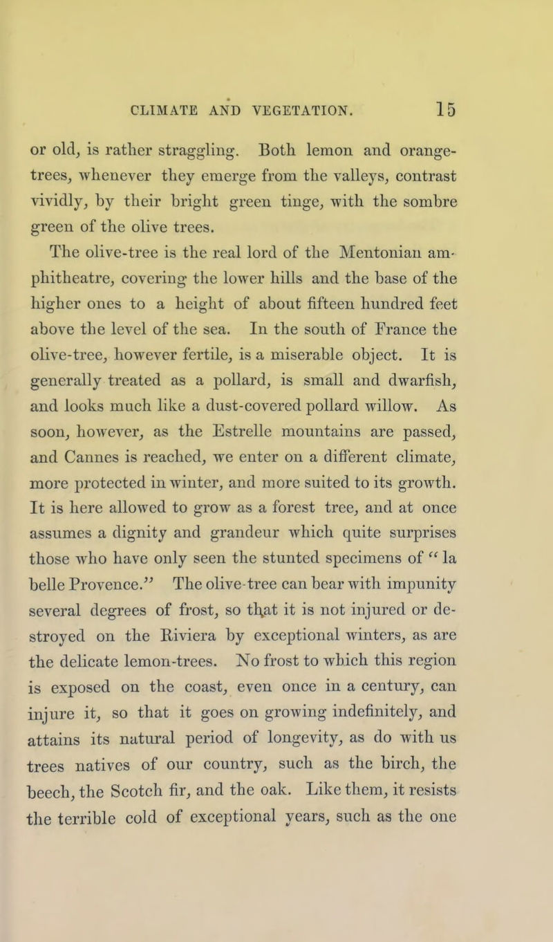 or old, is rather straggling. Both lemon and orange- trees, whenever they emerge from the valleys, contrast vividly, by their bright green tinge, with the sombre green of the olive trees. The olive-tree is the real lord of the Mentonian am- phitheatre, covering the lower hills and the base of the higher ones to a height of about fifteen hundred feet above the level of the sea. In the south of France the olive-tree, however fertile, is a miserable object. It is generally treated as a pollard, is small and dwarfish, and looks much like a dust-covered pollard willow. As soon, however, as the Estrelle mountains are passed, and Cannes is reached, we enter on a different climate, more protected in winter, and more suited to its growth. It is here allowed to grow as a forest tree, and at once assumes a dignity and grandeur which quite surprises those who have only seen the stunted specimens of la belle Provence. The olive-tree can bear with impunity several degrees of frost, so th,at it is not injured or de- stroyed on the Riviera by exceptional winters, as are the delicate lemon-trees. No frost to which this region is exposed on the coast, even once in a century, can injure it, so that it goes on growing indefinitely, and attains its natural period of longevity, as do with us trees natives of our country, such as the birch, the beech, the Scotch fir, and the oak. Like them, it resists the terrible cold of exceptional years, such as the one