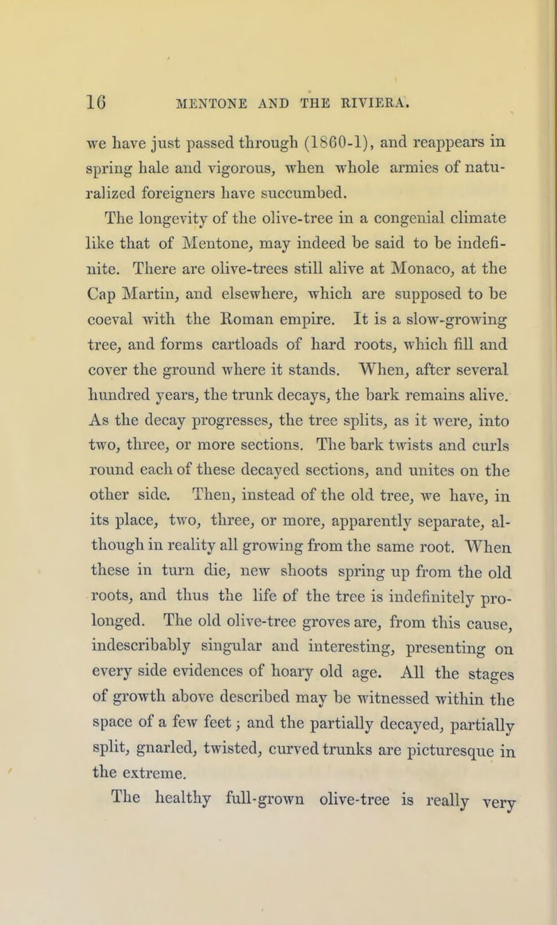 we have just passed through (1860-1), and reappears in spring hale and vigorous, when whole armies of natu- ralized foreigners have succumbed. The longevity of the olive-tree in a congenial climate like that of Mentone, may indeed be said to be indefi- nite. There are olive-trees still alive at Monaco, at the Cap Martin, and elsewhere, which are supposed to be coeval with the Roman empire. It is a slow-growing tree, and forms cartloads of hard roots, which fill and cover the ground where it stands. When, after several hundred years, the trunk decays, the bark remains alive. As the decay progresses, the tree splits, as it were, into two, three, or more sections. The bark twists and curls round each of these decayed sections, and unites on the other side. Then, instead of the old tree, we have, in its place, two, three, or more, apparently separate, al- though in reality all growing from the same root. When these in turn die, new shoots spring up from the old roots, and thus the life of the tree is indefinitely pro- longed. The old olive-tree groves are, from this cause, indescribably singular and interesting, presenting on every side evidences of hoary old age. All the stages of growth above described may be witnessed within the space of a few feet; and the partially decayed, partially split, gnarled, twisted, curved trunks are picturesque in the extreme. The healthy full-grown olive-tree is really very