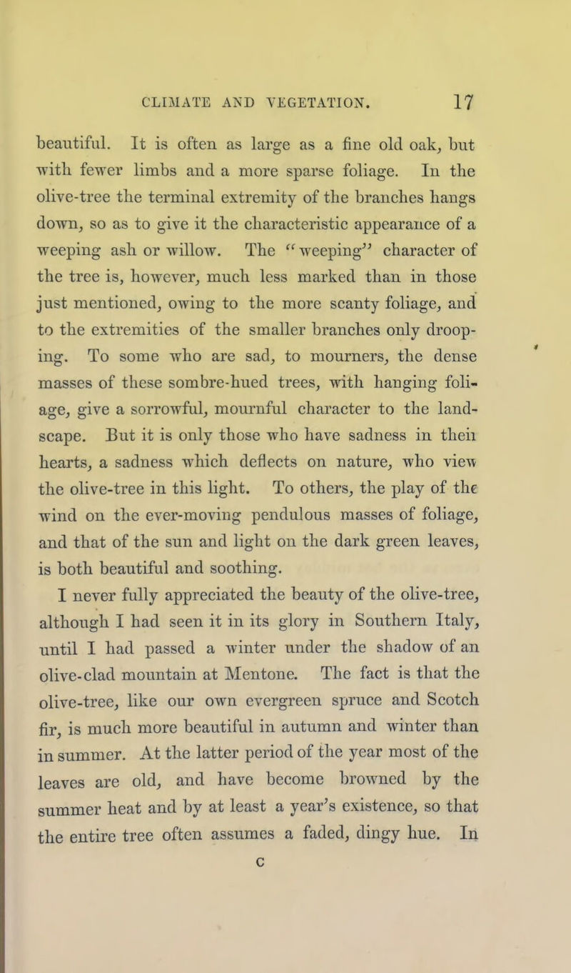 beautiful. It is often as large as a fine old oak, but with fewer limbs and a more sparse foliage. In the olive-tree the terminal extremity of the branches hangs down, so as to give it the characteristic appearance of a weeping ash or willow. The  weeping character of the tree is, however, much less marked than in those just mentioned, owing to the more scanty foliage, and to the extremities of the smaller branches only droop- ing. To some who are sad, to mourners, the dense masses of these sombre-hued trees, with hanging foli- age, give a sorrowful, mournful character to the land- scape. But it is only those who have sadness in then hearts, a sadness which deflects on nature, who view the olive-tree in this light. To others, the play of the wind on the ever-moving pendulous masses of foliage, and that of the sun and light on the dark green leaves, is both beautiful and soothing. I never fully appreciated the beauty of the olive-tree, although I had seen it in its glory in Southern Italy, until I had passed a winter under the shadow of an olive-clad mountain at Mentone. The fact is that the olive-tree, like our own evergreen spruce and Scotch fir, is much more beautiful in autumn and winter than in summer. At the latter period of the year most of the leaves are old, and have become browned by the summer heat and by at least a year's existence, so that the entire tree often assumes a faded, dingy hue. In c