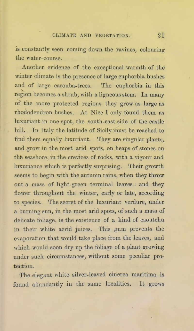 is constantly seen coming down the ravines, colouring the water-course. Another evidence of the exceptional warmth of the winter climate is the presence of large euphorbia bushes and of large carouba-trees. The euphorbia in this region becomes a shrub, with a ligneous stem. In many of the more protected regions they grow as large as rhododendron bushes. At Nice I only found them as luxuriant in one spot, the south-east side of the castle hill. In Italy the latitude of Sicily must be reached to find them equally luxuriant. They are singular plants, and grow in the most arid spots, on heaps of stones on the seashore, in the crevices of rocks, with a vigour and luxuriance which is perfectly surprising. Their growth seems to begin with the autumn rains, when they throw out a mass of light-green terminal leaves : and they flower throughout the winter, early or late, according to species. The secret of the luxuriant verdure, under a burning sun, in the most arid spots, of such a mass of delicate foliage, is the existence of a kind of caoutchu in their white acrid juices. This gum prevents the evaporation that would take place from the leaves, and which would soon dry up the foliage of a plant growing under such circumstances, without some peculiar pro- tection. The elegant white silver-leaved cinerea maritima is found abundantly in the same localities. It grows