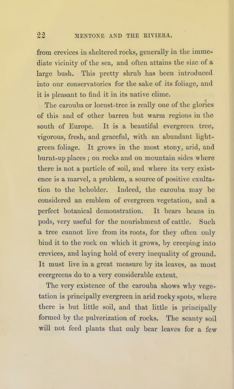from crevices in sheltered rocks, generally in the imme- diate vicinity of the sea, and often attains the size of a large bush. This pretty shrub has been introduced into our conservatories for the sake of its foliage, and it is pleasant to find it in its native clime. The carouba or locust-tree is really one of the glories of this and of other barren but warm regions in the south of Europe. It is a beautiful evergreen tree, vigorous, fresh, and graceful, with an abundant light- green foliage. It grows in the most stony, arid, and burnt-up places ; on rocks and on mountain sides where there is not a particle of soil, and where its very exist- ence is a marvel, a problem, a source of positive exulta- tion to the beholder. Indeed, the carouba mav be considered an emblem of evergreen vegetation, and a perfect botanical demonstration. It bears beans in pods, very useful for the nourishment of cattle. Sucli a tree cannot live from its roots, for they often only bind it to the rock on which it grows, by creeping into crevices, and laying hold of every inequality of ground. It must live in a great measure by its leaves, as most evergreens do to a very considerable extent. The very existence of the carouba shows why vege- tation is principally evergreen in arid rocky spots, where there is but little soil, and that little is principally formed by the pulverization of rocks. The scanty soil will not feed plants that only bear leaves for a few