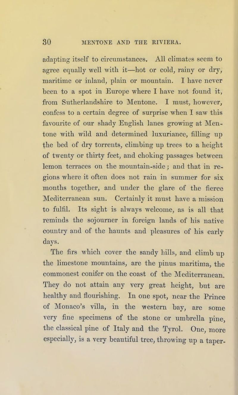 adapting itself to circumstances. All climates seem to agree equally well with it—hot or cold, rainy or dry, maritime or inland, plain or mountain. I have never been to a spot in Europe where I have not found it, from Sutherlandshire to Mentone. I must, however, confess to a certain degree of surprise when I saw this favourite of our shady English lanes growing at Men- tone with wild and determined luxuriance, filling up the bed of dry torrents, climbing up trees to a height of twenty or thirty feet, and choking passages between lemon terraces on the mountain-side; and that in re- gions where it often does not rain in summer for six months together, and under the glare of the fierce Mediterranean sun. Certainly it must have a mission to fulfil. Its sight is always welcome, as is all that reminds the sojourner in foreign lands of his native country and of the haunts and pleasures of his early days. The firs which cover the sandy hills, and climb up the limestone mountains, are the pinus maritima, the commonest conifer on the coast of the Mediterranean. They do not attain any very great height, but are healthy and flourishing. In one spot, near the Prince of Monaco's villa, in the western bay, are some very fine specimens of the stone or umbrella pine, the classical pine of Italy and the Tyrol. One, more especially, is a very beautiful tree, throwing up a taper-
