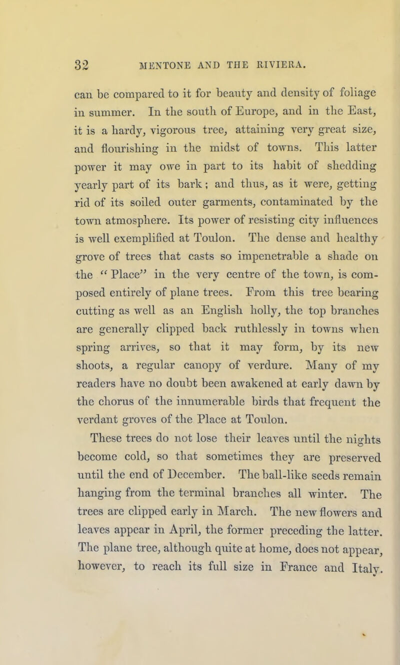 can be compared to it for beauty and density of foliage in summer. In the south of Europe, and in the East, it is a hardy, vigorous tree, attaining very great size, and nourishing in the midst of towns. This latter power it may owe in part to its habit of shedding yearly part of its bark; and thus, as it were, getting rid of its soiled outer garments, contaminated by the town atmosphere. Its power of resisting city influences is well exemplified at Toulon. The dense and healthy grove of trees that casts so impenetrable a shade on the Place in the very centre of the town, is com- posed entirely of plane trees. From this tree bearing cutting as well as an English holly, the top branches are generally clipped back ruthlessly in towns when spring arrives, so that it may form, by its new shoots, a regular canopy of verdure. Many of my readers have no doubt been awakened at early dawn by the chorus of the innumerable birds that frequent the verdant groves of the Place at Toulon. These trees do not lose their leaves until the nights become cold, so that sometimes they are preserved until the end of December. The ball-like seeds remain hanging from the terminal branches all winter. The trees are clipped early in March. The new flowers and leaves appear in April, the former preceding the latter. The plane tree, although quite at home, does not appear, however, to reach its full size in France and Italv.