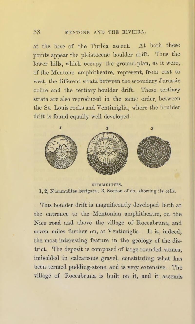 at the base of the Turbia ascent. At both these points appear the pleistocene boulder drift. Thus the lower hills, which occupy the ground-plan, as it were, of the Mentone amphitheatre, represent, from east to west, the different strata between the secondary Jurassic oolite and the tertiary boulder drift. These tertiary strata are also reproduced in the same order, between the St. Louis rocks and Ventimiglia, where the boulder drift is found equally well developed. I 2 3 NUMMULITES. 1, 2, Nummulites laevigata; 3, Section of do., showing its cells. This boulder drift is magnificently developed both at the entrance to the Mentonian amphitheatre, on the Nice road and above the village of Roccabruna, and seven miles further on, at Ventimiglia. It is, indeed, the most interesting feature in the geology of the dis- trict. The deposit is composed of large rounded stones, imbedded in calcareous gravel, constituting what has been termed pudding-stone, and is very extensive. The village of Roccabruna is built on it, and it ascends