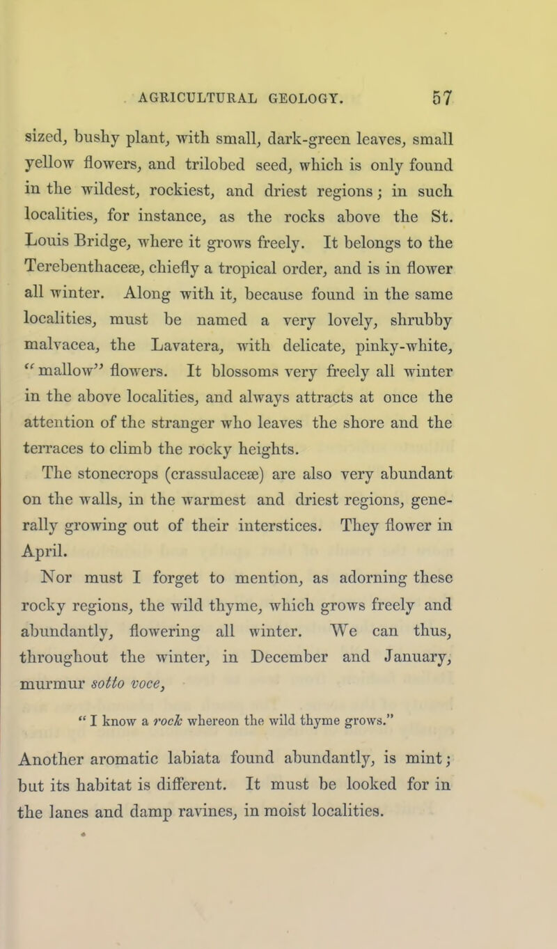 sized, bushy plant, with small, dark-green leaves, small yellow flowers, and trilobed seed, which is only found in the wildest, rockiest, and driest regions j in such localities, for instance, as the rocks above the St. Louis Bridge, where it grows freely. It belongs to the Terebenthaceae, chiefly a tropical order, and is in flower all winter. Along with it, because found in the same localities, must be named a very lovely, shrubby malvacea, the Lavatera, with delicate, pinky-white,  mallow flowers. It blossoms very freely all winter in the above localities, and always attracts at once the attention of the stranger who leaves the shore and the terraces to climb the rocky heights. The stonecrops (crassulacese) are also very abundant on the walls, in the warmest and driest regions, gene- rally growing out of their interstices. They flower in April. Nor must I forget to mention, as adorning these rocky regions, the wild thyme, which grows freely and abundantly, flowering all winter. We can thus, throughout the winter, in December and January, murmur sotto voce,  I know a rock whereon the wild thyme grows. Another aromatic labiata found abundantly, is mint; but its habitat is different. It must be looked for in the lanes and clamp ravines, in moist localities.