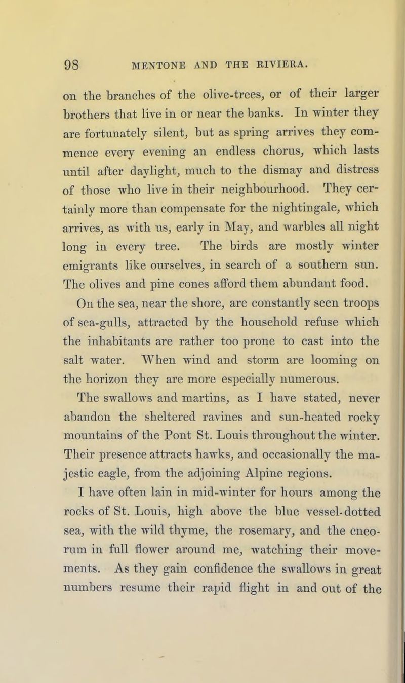 on the branches of the olive-trees, or of their larger brothers that live in or near the banks. In winter they are fortunately silent, but as spring arrives they com- mence every evening an endless chorus, which lasts until after daylight, much to the dismay and distress of those who live in their neighbourhood. They cer- tainly more than compensate for the nightingale, which arrives, as with us, early in May, and warbles all night long in every tree. The birds are mostly winter emigrants like ourselves, in search of a southern sun. The olives and pine cones afford them abundant food. On the sea, near the shore, are constantly seen troops of sea-gulls, attracted by the household refuse which the inhabitants are rather too prone to cast into the salt water. When wind and storm are looming on the horizon they are more especially numerous. The swallows and martins, as I have stated, never abandon the sheltered ravines and sun-heated rocky mountains of the Pont St. Louis throughout the winter. Their presence attracts hawks, and occasionally the ma- jestic eagle, from the adjoining Alpine regions. I have often lain in mid-winter for hours among the rocks of St. Louis, high above the blue vessel-dotted sea, with the wild thyme, the rosemary, and the cneo- rum in full flower around me, watching their move- ments. As they gain confidence the swallows in great numbers resume their rapid flight in and out of the