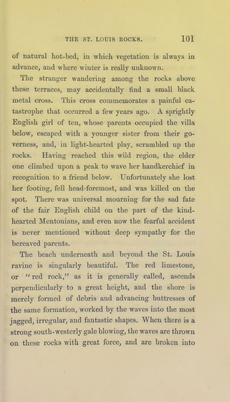 of natural hot-bed, in which vegetation is always in advance, and where winter is really unknown. The stranger wandering among the rocks above these terraces, may accidentally find a small black metal cross. This cross commemorates a painful ca- tastrophe that occurred a few years ago. A sprightly English girl of ten, whose parents occupied the villa below, escaped with a younger sister from their go- verness, and, in light-hearted play, scrambled up the rocks. Having reached this wild region, the elder one climbed upon a peak to wave her handkerchief in recognition to a friend below. Unfortunately she lost her footing, fell head-foremost, and was killed on the spot. There was universal mourning for the sad fate of the fair English child on the part of the kind- hearted Mentonians, and even now the fearful accident is never mentioned without deep sympathy for the bereaved parents. The beach underneath and beyond the St. Louis ravine is singularly beautiful. The red limestone, or  red rock, as it is generally called, ascends perpendicularly to a great height, and the shore is merely formed of debris and advancing buttresses of the same formation, worked by the waves into the most jagged, irregular, and fantastic shapes. When there is a strong south-westerly gale blowing, the waves are thrown on these rocks with great force, and are broken into