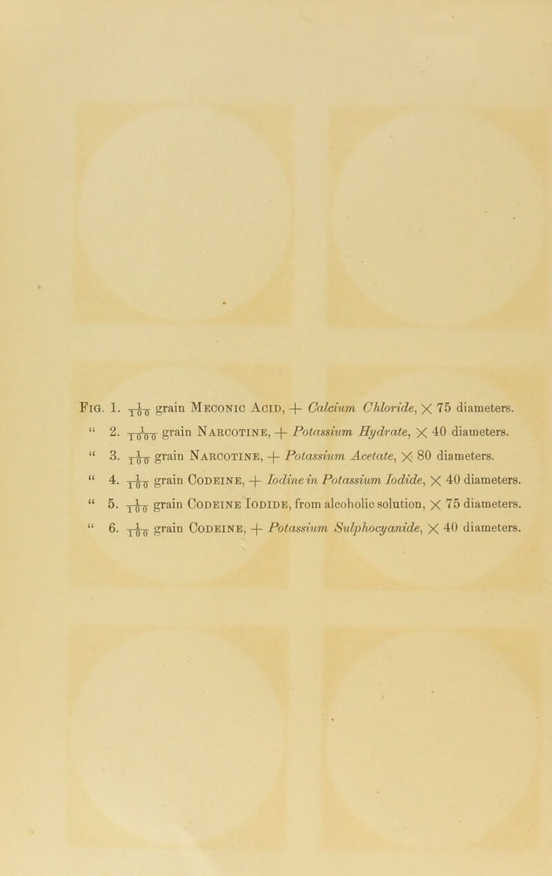 1. yJ-j grain Meconic Acid, 4- Calcium Chloride, X 75 diameters. 2. 1 0 grain Narcotine, -|- Potassium Hydrate, X 40 diameters. 3. yj-y grain Narcotine, Potassium Acetate, X 80 diameters. 4. y4^ grain Codeine, + Iodine in Potassium Iodide, X 40 diameters. 5. y^y grain Codeine Iodide, from alcoholic solution, X 75 diameters. 6. yjy grain Codeine, -f- Potassium Sulphocyanide, X 40 diameters.