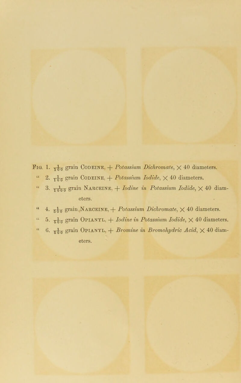 2. rain Codeine, -(- Potassium Iodide, X 40 diameters. 3. YihiT) grain Narceine, -)- Iodine in Potassium Iodide, X 40 diam- eters. 4. grain Narceine, -}- Potassium Dichromate, X 40 diameters. 5. grain Opianyl. -)- Iodine in Potassium Iodide, X 40 diameters. 6. -frjj-fy grain Opianyl, -j- Bromine in Bromoliydric Acid, X 40 diam- eters.