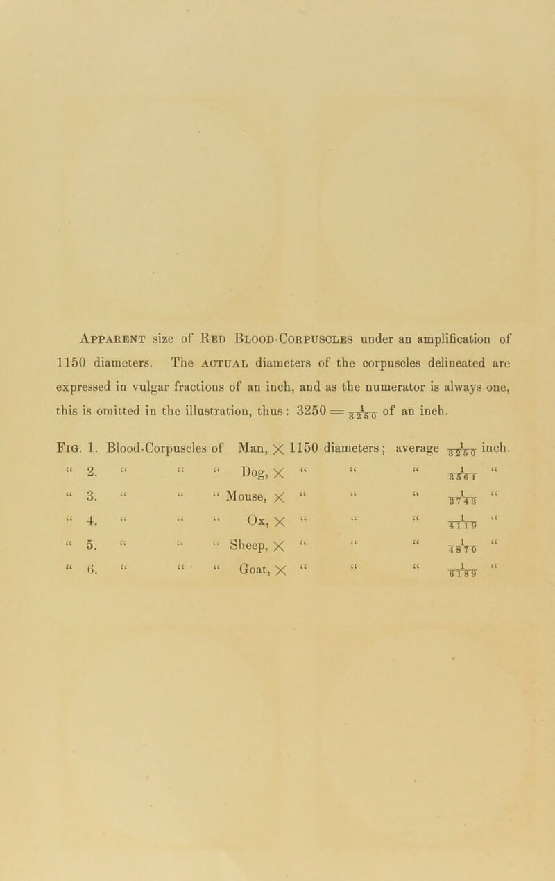 Apparent size of Red Blood Corpuscles under an amplification of 1150 diameters. The actual diameters of the corpuscles delineated are expressed in vulgar fractions of an inch, and as the numerator is always one, this is omitted in the illustration, thus: 3250 = of an inch. Fig. 1. “ 2. “ 3. “ 4. Blood-Corpuscles of Man, X 1150 diameters; “ “ “ Dog, X “ “ “ “ “ Mouse, X “ “ “ “ “ Ox, X “ “ 5. “ 0. Sheep, X “ “ Goat, X “ U average u u u u u tzW *nc^- WiTT TTTS 1 k T87TI (IT3TI