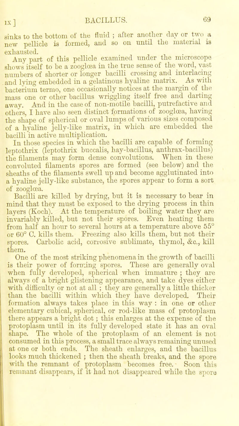 sinks to the bottom of tiie fluid ; after another day or two a new pellicle is formed, and so on until the material is exhausted. Any part of this pellicle examined under the microscope shows itself to be a zooglrea in the true sense of the word, vast numbers of shorter or longer bacilli crossing ancl interlacing and lying embedded ia a gelatinous hyaline matrix. _ As with bacterium termo, one occaaonally notices at the margin of the mass one or other bacillus wriggling itself free and darting away. A'nd in the case of non-motile bacilli, putrefactive and others, I have also seen distinct formations of zoogloea, having the shape of spherical or oval lumps of various sizes composed of a hyaHne jelly-like matrix, in which are embedded the bacilli in active multiplication. In those species in which the bacilli are capable of forming leptothrix (leptothrix buccalis, hay-bacillus, anthrax-bacillus) the filaments may form dense convolutions. When in these convoluted filaments spores are formed (see below) and the sheaths of the filaments swell up and become agglutinated into a hyaline jelly-like substance, the spores appear to form a sort of zoogloea. Bacilli are killed by drying, but it is necessary to bear in mind that they must be exposed to the drying process in thin layers (Koch). At the temperature of boiling water they are invariably killed, but not their spores. Even heating them from half an hour to several hours at a temperature above 55° or 60° C. kills them. Freezing also kills them, but not their spores. Carbolic acid, corrosive sublimate, thymol, &c., Idll them. One of the most striking phenomena in the growth of bacilli is their power of forndng spores. These are generally oval when fully developed, spherical when immature ; they are always of a bright glistening appearance, and take dyes either with difficiilty or not at all ; they are generally a little thicker than the bacilli within which they have developed. Their formation always takes place in this way : in one or other elementary cubical, spherical, or rod-like mass of protoplasm there appears a bright dot; this enlarges at the expense of the protoplasm until in its fully developed state it has an oval shape. The whole of the protoplasm of an element is not consumed in this process, a small trace always remaining unused at one or both ends. The sheath enlarges, and the bacillus looks much thickened ; then the sheath breaks, and the spore with the remnant of protoplasm becomes free. Soon this remnant disappears, if it had not disappeared while the sporo