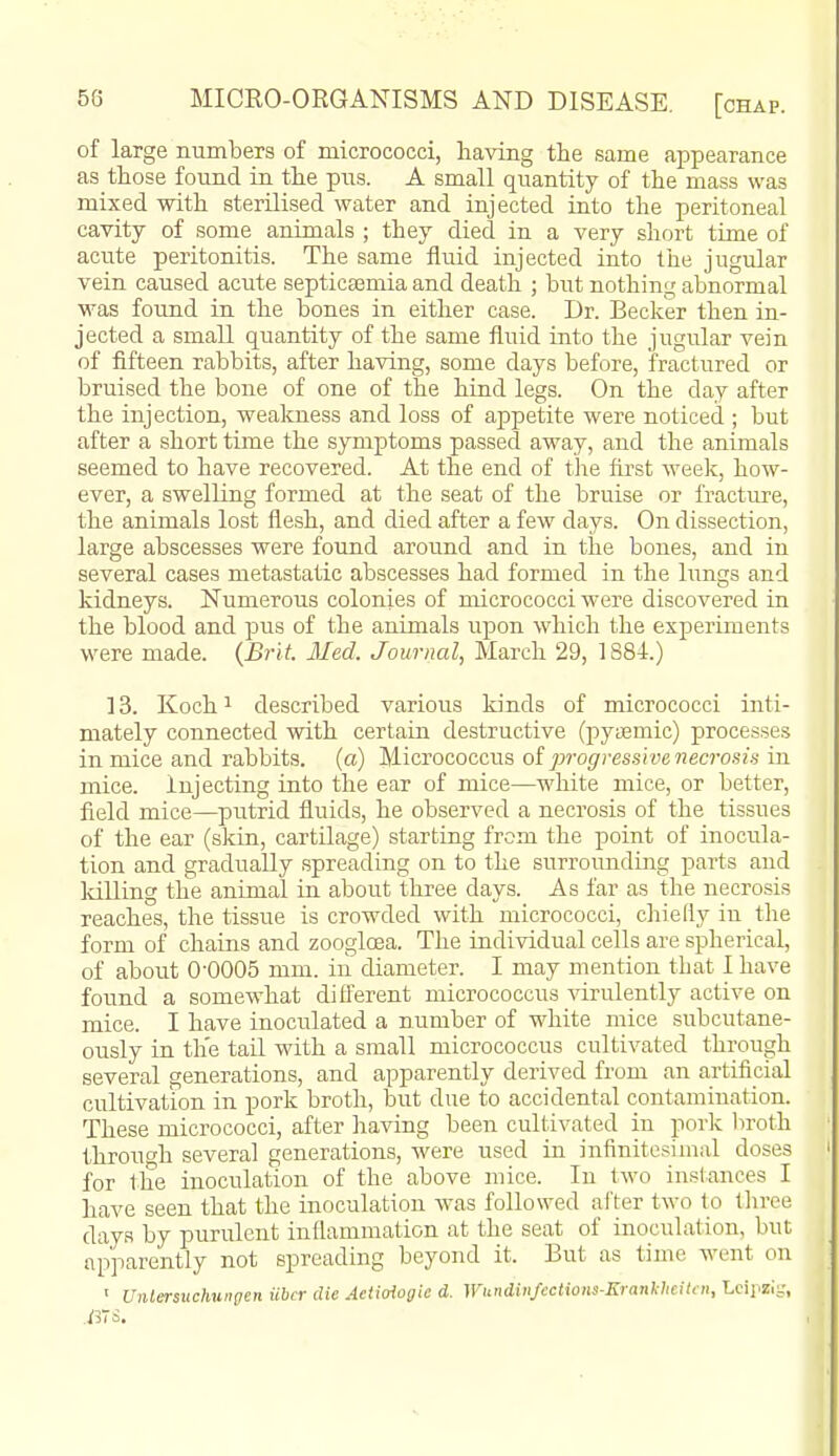 of large numbers of micrococci, having the same appearance as those found in the pus. A small quantity of the mass was mixed with sterilised water and injected into the peritoneal cavity of some animals ; they died in a very short time of acute peritonitis. The same fluid injected into the jugular vein caused acute septicemia and death ; but nothing abnormal M-as found in the bones in either case. Dr. Becker then in- jected a small quantity of the same fluid into the jugular vein of fifteen rabbits, after having, some days before, fractured or bruised the bone of one of the hind legs. On the day after the injection, wealmess and loss of appetite were noticed ; but after a short time the symptoms passed away, and the animals seemed to have recovered. At the end of the fii'st weelf, how- ever, a swelling formed at the seat of the bruise or fracture, the animals lost flesh, and died after a few days. On dissection, large abscesses were found around and in the bones, and in several cases metastatic abscesses had formed in the lungs and kidneys. Numerous colonies of micrococci were discovered in the blood and pus of the animals upon which the experiments were made. {Brit. Med. Journal, March 29, 1884.) ] 3. Koch 1 described various kinds of micrococci inti- mately connected with certain destructive (pj^ismic) processes in mice and rabbits, (a) Micrococcus oi progressive necrosis in mice, injecting into the ear of mice—white mice, or better, field mice—putrid fluids, he observed a necrosis of the tissues of the ear (skin, cartilage) starting from the point of inocula- tion and gradually spreading on to the surrounding parts and Idlling the animal in about three days. As far as the necrosis reaches, the tissue is crowded with micrococci, cliiefly in the form of chains and zooglcea. The individual cells are spherical, of about 0-0005 mm. in diameter. I may mention that I have found a somewhat diiferent micrococcus virulently active on mice. I have inoculated a number of white mice subcutane- ously in the tail with a small micrococcus cultivated through several generations, and apparently derived from an artificial cultivation in pork broth, but due to accidental contamination. These micrococci, after having been cultivated in pork liroth through several generations, were used in infinitesimal doses for the inoculation of the above mice. In two instances I have seen that the inoculation was followed alter two to three days by purulent inflammation at the seat of inoculation, but apparently not spreading beyond it. But as time went on ' Untersiichungen iibcr die Actioiogic d. Wundiiifictions-Eranlihcilat, Leipzig,