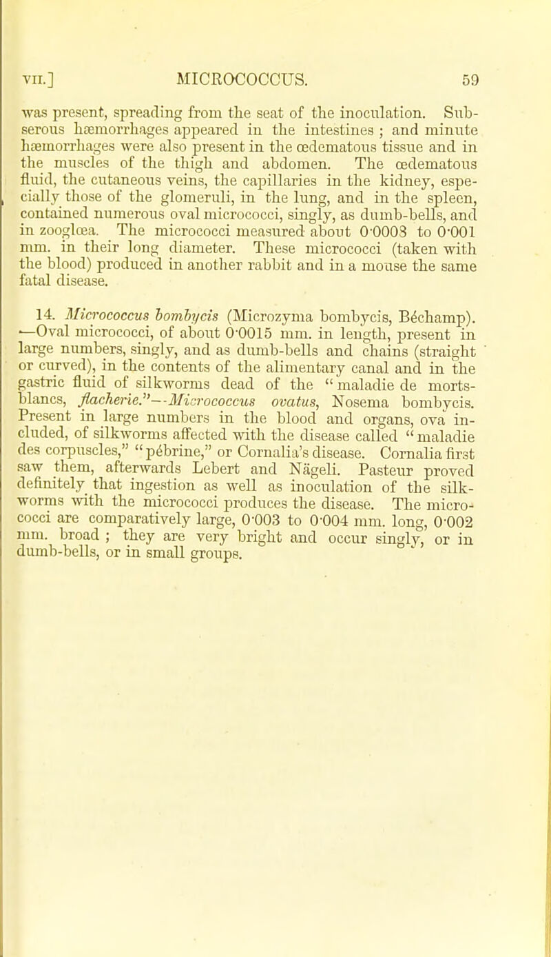 ■was present, spreading from the seat of the inoculation. Sub- serous htemorrhages appeared in the intestines ; and minute hEemon-hages were also present in the osdematous tissue and in the muscles of the thigh and abdomen. The csdematous fluid, the cutaneous veins, the capillaries in the kidney, espe- cially those of the glomeruli, in the lung, and in the spleen, contaiued numerous oval micrococci, singly, as dumb-bells, and in zooglcea. The micrococci measured about 0-0003 to 0-001 nmi. in their long diameter. These micrococci (taken -with the blood) produced in another rabbit and in a mouse the same fatal disease. 14. Micrococcus homhycis (Microzyma bombycis, Bdchamp). —Oval micrococci, of about 0-0015 mm. in length, present in large numbers, singly, and as dmnb-bells and chains (straight or curved), in the contents of the alimentary canal and in the gastric fluid of silk-worms dead of the  maladie de morts- blancs, flacherie.--Micrococcus ovatus, Nosema bombycis. Present in large numbers in the blood and organs, ova in- cluded, of silkworms afi'ected ■with the disease called  maladie des corpuscles,  p^brine, or Cornalia's disease. Cornalia first saw them, afterwards Lebert and Nageli. Pasteur proved definitely that ingestion as well as inoculation of the silk- worms ■with the micrococci produces the disease. The micro- cocci are comparatively large, 0-003 to 0-004 mm. long, 0-002 mm. broad ; they are very bright and occur singly, or in dumb-bells, or in small groups.