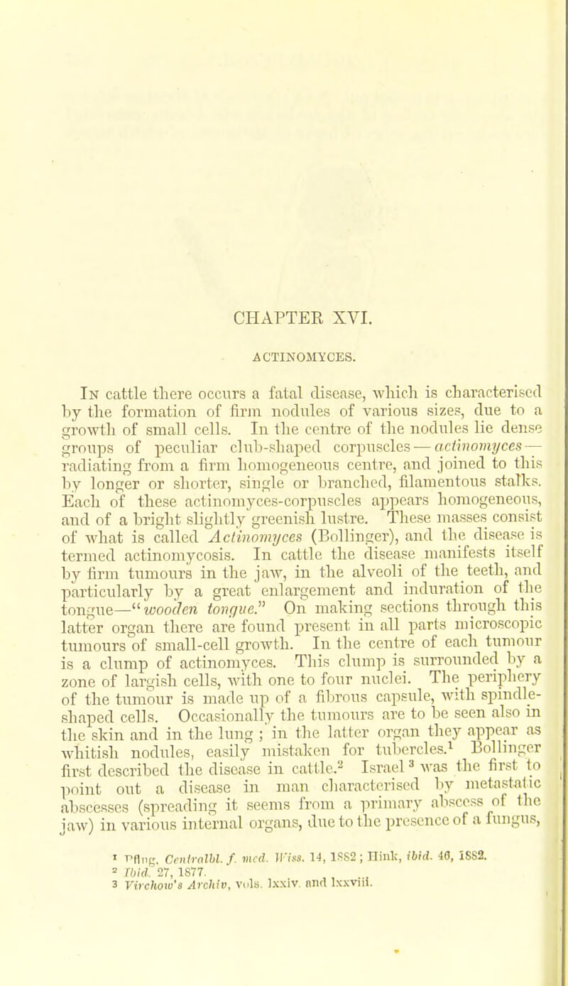 ACTINOMYCES. In cattle there occurs a fatal disease, which is characterised by the formation of firm nodules of various sizes, due to a growtli of small cells. In the centre of the nodules lie dense groups of peculiar club-shaped corpuscles'—acimomyces — radiating from a firm homogeneous centre, and joined to this by longer or shorter, single or branched, filamentous stalks. Each of these actinnrnyces-corpuscles appears homogeneous, and of a bright slightly greenish lustre. These uiasses consist of what is called Actinomyces (Bollinger), and the disease is termed actinomycosis. In cattle the disease uianifests itself by firm tumours in the jaw, in the alveoli of the teeth, and particularly by a great enlargement and induration of tlie tongue— wooc/e?i toiujue. On making sections through this latter organ there are found present in all parts microscopic tumours of small-cell growth. In the centre of eacli tumour is a clump of actinoniyces. This clump is surrounded hy a zone of largish cells, with one to four nuclei. The periphery of the tmnour is made up of a fibrous capsule, with spindle- shaped cells. Occasionally the tumours are to be seen also m the skin and in the lung in the latter organ they appear as whitish nodules, easily mistaken for tubercles.'^ Bollinger first described the disease in cattle.'' Israel was the first to point out a disease in man characterised by metastatic abscesses (spreading it seems from a primary abscess of the jaw) in various internal organs, due to the presence of a fungus, ' r>fliig. CentralU.f. mcd. U'iss. 14, 1SS2; nink, ibid. 46, iSS2. = Ibid: 27, 1877.