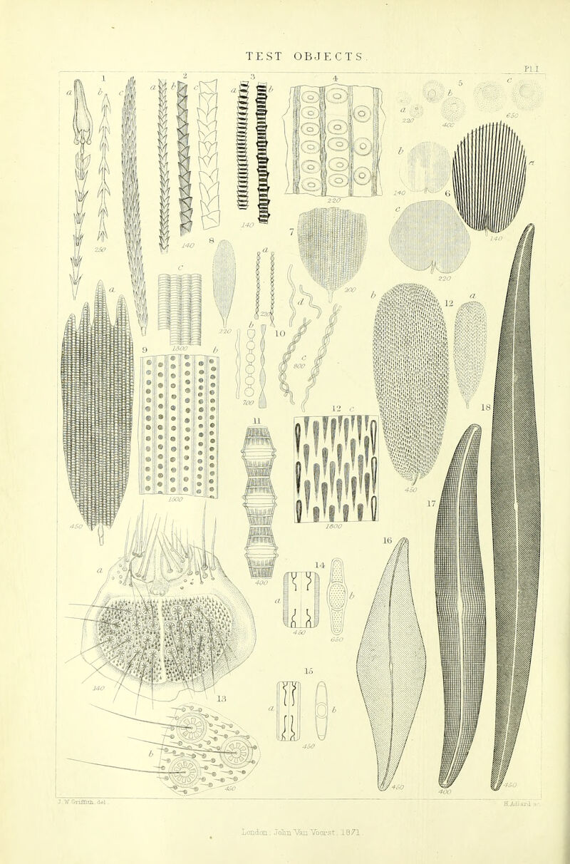 TEST OBJECTS. Lcodon; John Van Vooi'st, 1871