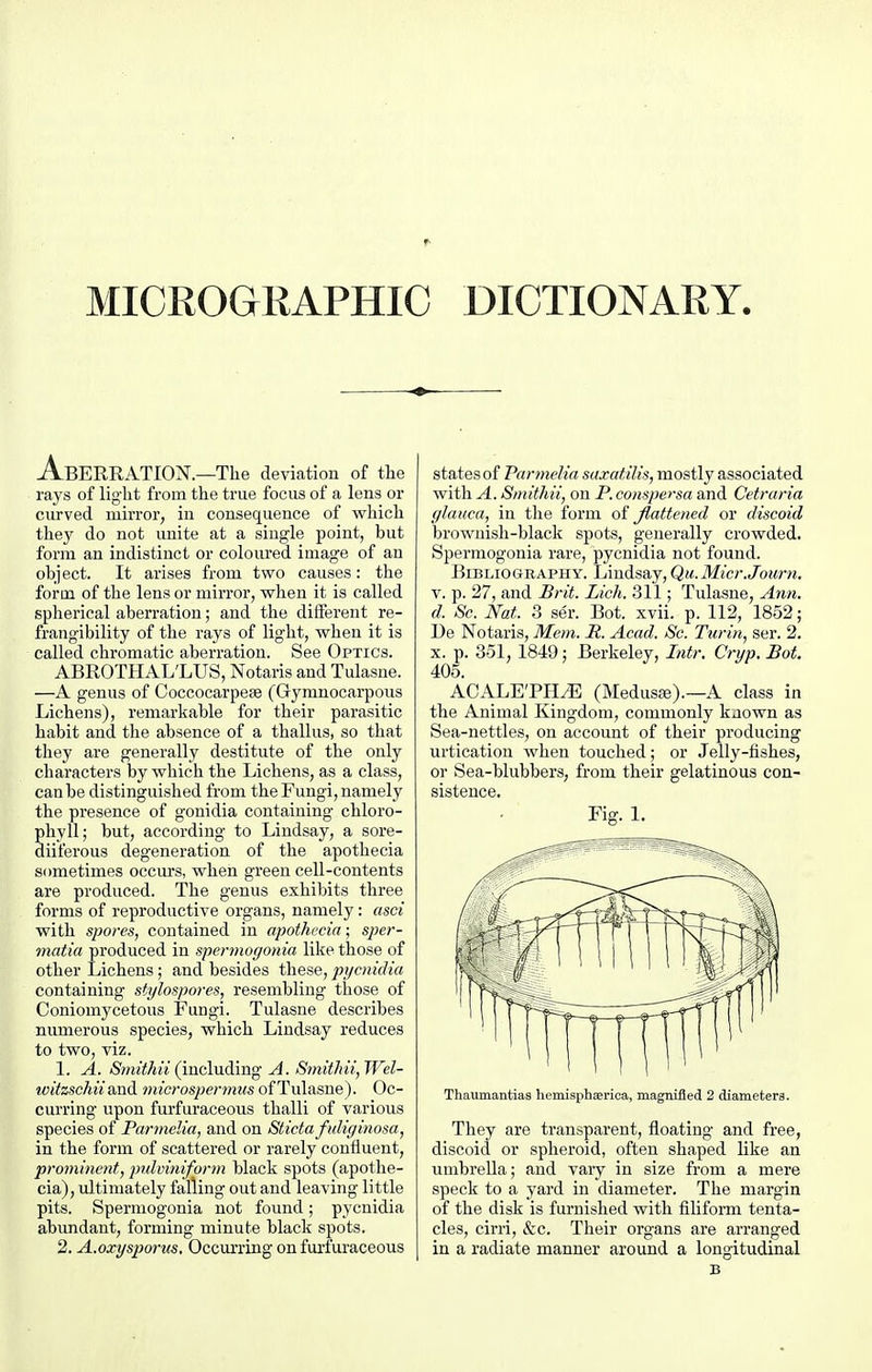 MICROGRAPHIC DICTIONARY. Aberration.—The deviation of the rays of light from the true focus of a lens or curved mirror, in consequence of which they do not unite at a single point, but form an indistinct or coloured iniage of an obj ect. It arises from two causes: the form of the lens or mirror, when it is called spherical aberration; and the diflerent re- frangibility of the rays of light, when it is called chromatic aberration. See Optics. ABROTHAL'LUS, Notaris and Tulasne. —A genus of Coccocarpese (Gyranocarpous Lichens), remarkable for their parasitic habit and the absence of a thallus, so that they are generally destitute of the only characters by which the Lichens, as a class, can be distinguished from the Fungi, namely the presence of gonidia containing chloro- phyll; but, according to Lindsay, a sore- diiferous degeneration of the apothecia sometimes occm's, when green cell-contents are produced. The genus exhibits three forms of reproductive organs, namely: asci with spores, contained in apothecia; sjjer- matia produced in spennogonia like those of other Lichens; and besides these, pycnidia containing stylospores, resembling those of Coniomycetous Fungi. Tulasne describes numerous species, which Lindsay reduces to two, viz. 1. A. iSmiiAw (including A. Smithii,Wel- witzschii a,ud inici-ospermus of Tulasne). Oc- curring upon furfuraceous thalli of various species of Parmelia, and on Stictafuliginosa, in the form of scattered or rarely confluent, prominent, jndviniform black spots (apothe- cia), ultimately falling out and leaving little pits. Spermogonia not found; pycnidia abundant, forming minute black spots. 2. A.oxysporus. Occurring on fui-furaceous states of Parmelia saxatilis, mostly associated with A. Smithii, on P. conspersa and Cetraria glauca, in the form oi flattened or discoid browuisli-black spots, generally crowded. Spermogonia rare, pycnidia not found. Bibliography. Lindsay, Qu.Micr.Journ. V. p. 27, and Brit. Lick. 311; Tulasne, Ann. d. Sc. Nat. 3 ser. Bot. xvii. p. 112, 1852; De Notaris, Mem. P. Acad. Sc. Turin, ser. 2. X. p. 351, 1849; Berkeley, Intr. Cryp. Bot. 405. ACALE'PH^ (Medusffi).—A class in the Animal Kingdom, commonly known as Sea-nettles, on account of their producing urtication when touched; or Jelly-fishes, or Sea-blubbers, from their gelatinous con- sistence. Fig. 1. Thaumantias hemisphserica, magnifled 2 diameters. They are transparent, floating and free, discoid or spheroid, often shaped like an umbrella; and vaiy in size from a mere speck to a yard in diameter. The margin of the disk is furnished with filiform tenta- cles, cirri, &c. Their organs are arranged in a radiate manner around a longitudinal B