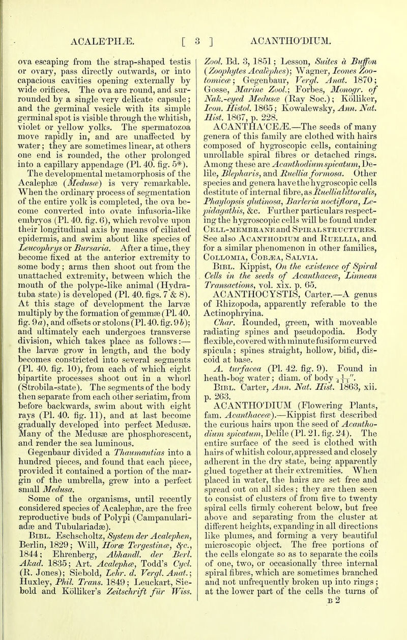 ova escaping from the strap-shaped testis or ovary, pass directly outwards, or iuto capacious cavities opening externally by wide orifices. The ova are round, and sur- rounded by a single very delicate capsule; and the germinal vesicle with its simple germinal spot is visible through the whitish, violet or yellow yolks. The spermatozoa move rapidly in, and are unaffected by water; they are sometimes linear, at others one end is rounded, the other prolonged into a capillary appendage (PI. 40. fig. 5*). The developmental metamorphosis of the Acalephse {Medmce) is very remarkable. When the ordinary process of segmentation of the entire yolk is completed, the ova be- come converted into ovate infusoria-like embryos (PI. 40. fig. 6), which revolve iipon their longitudinal axis by means of ciliated epidermis, and swim about like species of Leucophrys or Bursaria. After a time, they become fixed at the anterior extremity to some body; arms then shoot out from the unattached extremity, between which the mouth of the polype-like animal (Hydra- tuba state) is developed (PI. 40. figs. 7 & 8). At this stage of development the larvEe multiply by the formation of gemmai (PI. 40. fig. 9a), and offsets or stolons (PI. 40. fig. 9 h); and ultimately each undergoes transverse division, which takes place as follows:— the larvae grow in length, and the body becomes constricted into several segments (PI. 40. fig. 10), from each of which eight bipartite processes shoot out in a -whorl (Strobila-state). The segments of the body then separate from each other seriatim, from before backwards, swim about with eight rays (PL 40. fig. 11), and at last become gradually developed into perfect Medusre. Many of the Medusae are phosphorescent, and render the sea luminous. Gegenbaur divided a Tliatmiantias into a hundred pieces, and found that each piece, provided it contained a portion of the mar- gin of the umbrella, grew into a perfect small Medusa. Some of the organisms, until recently considered species of Acalephas, are the free reproductive buds of Polypi (Campanulari- adffi and Tubulariadse). BiBL. Eschsclioltz, System der Acalephen, Berlin, 1829; Will, Horce Terrjestmai, ^c, 1844; Ehrenberg, Ahhandl. der Berl. Akad. 18.35; Art. Acalephcc, Todd's Cycl. (R. Jones); Siebold, Lehr. d. Veryl. Anat.; Huxley, Phil. Trans. 1849; Leuckart, Sie- bold and Kiilliker's Zeitschrift fiir Wiss. Zool. Bd. 3, 18-51; Lesson, Suites a Bvjfon {Zoophytes Ac(dephes); Wagner, Icones Zoo- tomicce; Gegenbaur, Veryl. Aiiat. 1870; Gosse, Marine Zool.; Forbes, 3Ionoyr. of Nak.-eyed Medusa (Ray Soc); Kolliker, Icon. Histol. I860; Kowalewsky, Ann. Nat. Hist. 1867, p. 228. ACANTPIA'CE/E.—The seeds of many genera of this family are clothed with hairs composed of hygroscopic cells, containing unrollable spiral fibres or detached rings. Among these are Acanthodiumspicatum,\)Q- lile, Bk'pharis, and Ruellia formosa. Other species and genera havethehygroscopic cells destitute of internal iihve, asItttellialittoralis, Phaylopsis ylutinosa, Barleria noctijlora, Le- pidayathis, &c. Further particulars respect- ing the hygroscopic cells will be found under Cell-membrane and Spiralstbuctubes. See also Acanthodium and Ruellia, and for a similar phenomenon in other families, CoLLOMiA, Cob^a, Salvia. BiBL. Kippist, On the existence of Spiral Cells in the seeds of Acanthacecs, Linnean Transactions, vol. xix. p. 65. ACANTHOCYSTIS, Carter.—A genus of Rhizopoda, apparently referable to the Actinophryina. Char. Rounded, gi'een, with moveable radiating spines and pseudopodia. Body flexible, covered with minute fusiform curved spicula; spines straight, hollow, bifid, dis- coid at base. A. turfacea (PI. 42. fig. 9). Found in heath-bog water ; diani. of body ^ BiBL. Carter, Ann. Nat. Hist. 186-3, xii. p. 263. ACANTHO'DIUM (Flowering Plants, fam. Acanthacea).—Kippist first described the curious hairs upon the seed of Acantho- dium spicatum, Delile (PI. 21. fig. 24). The entire surface of the seed is clothed with hairs of whitish colour, appressed and closely adherent in the dry state, being apparently glued together at their extremities. When placed in water, the hairs are set free and spread out on all sides; they are then seen to consist of clusters of from five to twenty spiral cells firmly coherent below, but free above and separating from the cluster at different heights, expanding in all directions like plumes, and forming- a very beautifid microscopic object. The free portions of the cells elongate so as to separate the coils of one, two, or occasionally three internal spiral fibres, which are sometimes branched and not uufrequently broken up into rings; at the lower part of the cells the turns of