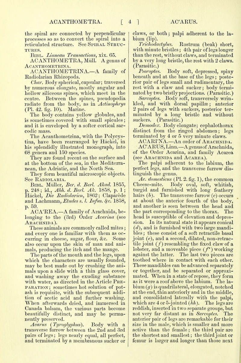 tlie spiral are connected by perpendicular processes so as to convert the spiral into a reticulated structure. See Si^iral Struc- tures. BiBL. Limiean Transactions, xix. 65. ACANTHOME'TEA, Mlill. A genus of ACANTHOMETRINA. AOANTHOME'TRINA.—A family of Eadiolarian Ehizopoda. CJutr. Body spherical, capsular; traversed by numerous elongate, mostly angular and hollow siliceous spines, which meet in the centre. Between the spines, pseudopodia radiate from the bodv, as in Actinophrys (PI. 42. fig. 10). Manne. The body contains yellow globules, and is sometimes covered with small spicules; and it is enveloped by a softer cortical sar- codic mass. The Acanthometrina, with the Polycys- tina, have been rearranged by Hiickel, in his splendidly illustrated monograph, into 68 genera and 150 species. They are found recent on the surface and at the bottom of the sea, in the Mediterra- nean, the Adriatic, and the North Sea. They form beautiful microscopic objects. See Eadiolaria. BiBL. Miiller, Ber. d. Berl. Akad. 1855, p. 248; id., Abh. d. Berl. Ah. 1858, p. 1 ; Hiickel, Die Radiolarien, 1862; Claparede and Lachmann, Etudes s. I. Infus. S)-c. 1858, p. 59. ACA'EEA.—A family of Arachnida, be- longing to the (3rdj Order Acarina (see Arachnida). These animals are commonly called mites; and every one is familiar with them as oc- curring in cheese, sugar, flour, &c. Some also occm' upon the skin of man and ani- mals, producing the itch and the mange. The parts of the mouth and the legs, upon which the characters are usually founded, may be best made out by crushing the ani- mals upon a slide with a thin glass cover, and washing away the exuding substance with water, as directed in the Article Pre- paration ; sometimes hot solution of pot- ash is requisite, with the subsequent addi- tion of acetic acid and further washing. When afterwards dried, and immersed in Canada balsam, the various parts become beautifully distinct, and may be perma- nently preserved. Acarus {J'yrogJyphus). Body with a transverse furrow between the 2nd and 3rd pairs of legs; legs nearly equal, all perfect, and terminated by a membranous sucker or claws, or both; palpi adherent to the la- bium (lip). Trichodactylus. Eostrum (beak) short, with minute bristles; 4th pair of legs longer than the rest, without claws, and terminated by a very long bristle, the rest with 2 claws. (Parasitic.) Psorojjtes. Body soft, depressed, spiny beneath and at the base of the legs; poste- rior pair of legs small and rudimentary, the rest with a claw and sucker; body termi- nated by two bristly projections. (Parasitic.) Sarcojries. Body soft, transversely wrin- kled, and with dorsal papillte; anterior 2 pairs of legs with suckers, posterior ter- minated by a long bristle and without suckers. (Parasitic.) Demodex. Body elongate; cephalothorax distinct from the ringed abdomen; legs terminated by 4 or 5 very minute claws. AC AETNA.—An order of Arachnida. AC'ARUS, Linn.—A genusof Arachnida, of the Order Acarina, and family Acarea (see Arachnida and Acarea). The palpi adherent to the labium, the perfect legs, and the transverse furrow dis- tinguish the genus. Ac. domesticus (PI. 2. fig. 1), the common Cheese-mite. Body oval, soft, whitish, turgid and furnished with long feathery hairs (b). The transverse furrow (c) occura at about the anterior fourth of the body, and another is seen between the head and the part corresponding to the thorax. The head is susceptible of elevation and depres- sion. In its natm-al state it appears conical {d), and is furnished with two large mandi- bles ; these consist of a soft retractile basal joint (e), and a second, dilated, non-retrac- tile joint ( /') resembling the fixed claw of a lobster, and a moveable piece (/*) working against the latter. The last two pieces are toothed where in contact with each other. These mandibles can be advanced separately or together, and be separated or approxi- mated. When in a state of repose, they form as it were a roof above the labium. The la- bium {[/) is quadrilateral, elongated, notched at the end, thin anteriorly and in the middle, and consolidated laterally with the palpi, which are 4 or 5-joiuted (hh). The legs are reddish, inserted in two separate groups, but not very far distant as in Sarcoptes. The anterior pair of legs are remarkable for their size in the male, which is smaller and more active than the female ; the third pair are the shortest and smallest; the third joint or femur is larger and longer than those next