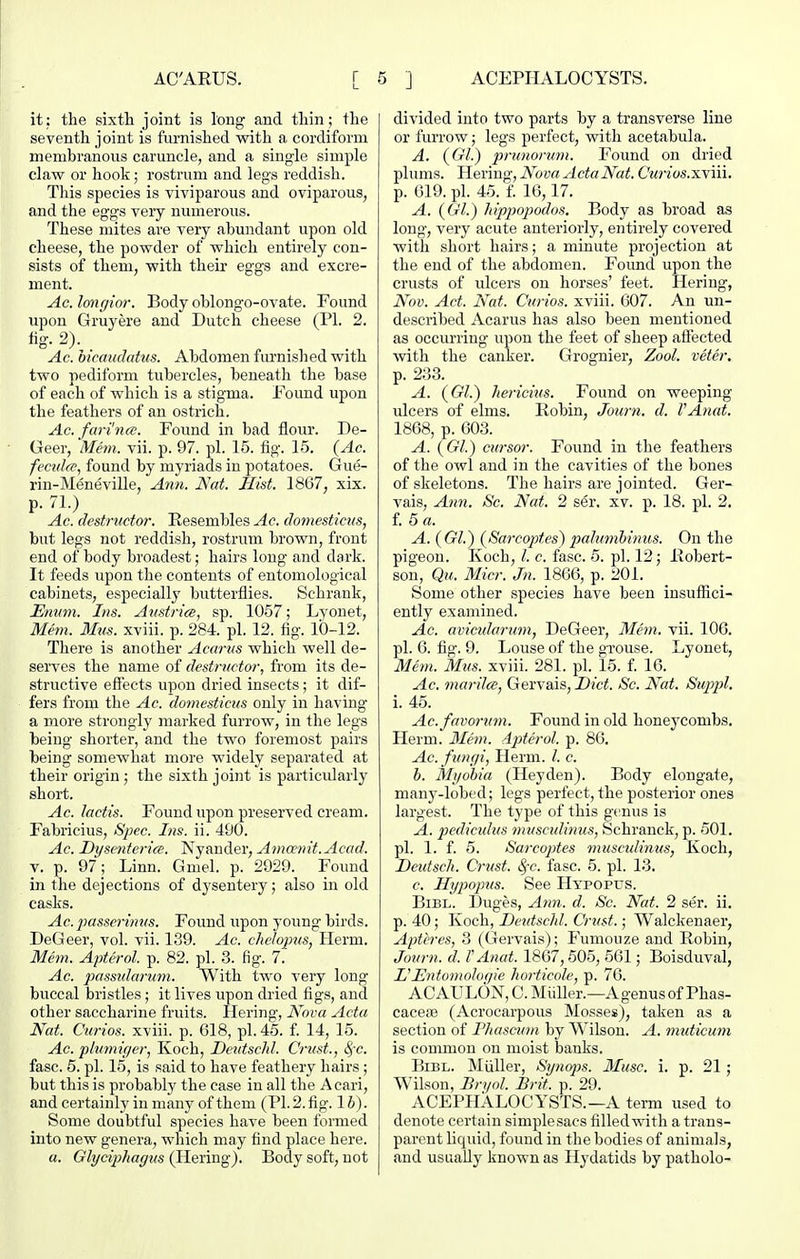 it: the sixth joint is long and thin; the seventh joint is furnished with a cordiform membranous caruncle, and a single simple claw or hook; rostrum and legs reddish. This species is viviparous and oviparous, and the eggs very numerous. These mites are very abundant upon old cheese, the powder of which entirely con- sists of them, with their eggs and excre- ment. Ac.longior. Body oblongo-ovate. Found upon Gruyere and Dutch cheese (PI. 2. «g. 2). Ac. htcauclntus. Abdomen furnished with two pediform tubercles, beneath the base of each of which is a stigma. Found upon the feathers of an ostrich. Ac. fari'nee. Found in bad flour. De- Geer, Mem. vii. p. 97. pi. 15. fig. 15. {Ac. fecvlce, found by myriads in potatoes. Gue- rin-Meneville, Ann. Nat. Hist. 1867, xix. p. 71.) Ac. destructor. Resembles Ac. domesticiis, but legs not reddish, rostrum brown, front end of body broadest; hairs long and dark. It feeds upon the contents of entomological cabinets, especially butterflies. Schrank, Emtm. Ins. Anstrice, sp. 1057; Lyonet, Mem. 3Ius. xviii. p. 284. pi. 12. fig. 1(D-12. There is another Acarus which well de- serves the name of destructor, from its de- structive effects upon dried insects; it dif- fers from the Ac. domesticiis only in having a more strongly marked furrow, in the legs being shorter, and the two foremost pairs being somewhat more widely separated at their origin ; the sixth joint is particularly short. Ac. lactis. Found upon preserved cream. Fabricius, <S;;ec. Ins. ii. 490. Ac. Dysenteria. Nyander, Amcenit.Acad. V. p. 97; Linn. Gmel. p. 2929. Found in the dejections of dysentery; also in old casks. Ac. jKisserinm. Found upon j-oimg birds. DeGeer, vol. vii. 139. Ac. cJielopus, Herm. Metn. Apteral, p. 82. pi. 3. fig. 7'. Ac. passidarum. With two very long buccal bristles; it lives upon dried figs, and other saccharine fruits. Hering, Nova Acta Nat. Curios, xviii. p. 618, pi. 45. f. 14, 15. Ac. plymif/er, Koch, DentscJd. Crust., 8,~c. fasc. 5. pi. 15, is said to have feathery hairs ; but this is probably the case in all the Acari, and certainly in many of them (PI. 2. fig. 16). Some doubtful species have been formed into new genera, which may find place here. a. Glyciphagus (Hering). Body soft, not divided into two parts by a transverse line or furrow; legs perfect, with acetabula. A. (Gl.) prunorum. Found on dried plums. Hering, Nova ActaNat. Curios.-s.y\\\. p. 619. ph 45. f. 16,17. A. (Gl.) hippopodos. Body as broad as long, very acute anteriorly, entirely covered with short hairs; a minute projection at the end of the abdomen. Foimd upon the crusts of ulcers on horses' feet. Hering, Nov. Act. Nat. Curios, xviii. 607. An un- described Acarus has also been mentioned as occurring upon the feet of sheep affected with the canker. Grognier, Zool. veter. p. Zoo. A. (Gl.) hericius. Found on weeping ulcers of elms. Robin, Journ. d. VAtiat. 1868, p. 603. A. (Gl.) cursor. Found in the feathers of the owl and in the cavities of the bones of skeletons. The hairs are jointed. Ger- vais, Ann. Sc. Nat. 2 ser. xv. p. 18. pi. 2. f. 5 a. A. (Gl.) (Sarcoptes) palumbinus. On the pigeon. Koch, I. c. fasc. 5. pi. 12; Robert- son, Qu. Micr. Jn. 1866, p. 201. Some other species have been insuffici- ently examined. Ac. avicxdarum, DeGeer, Mem. vii. 106. pi. 6. fig. 9. Louse of the gTOuse. Lyonet, Mem. Mus. xviii. 281. pi. 15. f. 16. Ac. marilcs, Gervais, Diet. Sc. Nat. Supjil. i. 45. Ac.favormn. Found in old honeycombs. Herm. 3Iem. dpterol. p. 86. Ac. fungi, Herm. I. c. h. Myohia (Heyden). Body elongate, many-lobed; legs perfect, the posterior ones largest. The type of this genus is A. pedicidus musctdinus, Schranck, p. 501. pi. 1. f. 5. Sarcojdes muscuUnus, Koch, Detdsch. Crust. (§-c. fasc. 5. pi. 13. c. H^jpopus. See Hypopus. BiBL. Duges, Ann. d. Sc. Nat. 2 ser. ii. p. 40; Koch, Detdschl. Crust.; Walckenaer, Afteres, 3 (Gervais); Fumouze and Robin, Journ. d. FAnat. 1867,505, 561; Boisduval, I'Untomolot/ie horticole, p. 76. ACAULON, C. MiiUer.—Agenusof Phas- cacete (Acrocarpous Mosses), taken as a section of Phascum by Wilson. A. mtdicum is common on moist banks. BiBL. Muller, Synqjs. Muse. i. p. 21 ; Wilson, Bn/ol. Brit. p. 29. ACEPHALOCYSTS.—A term used to denote certain simplesacs filled with a trans- parent liquid, found in the bodies of animals, and usually known as Hydatids by patholo-