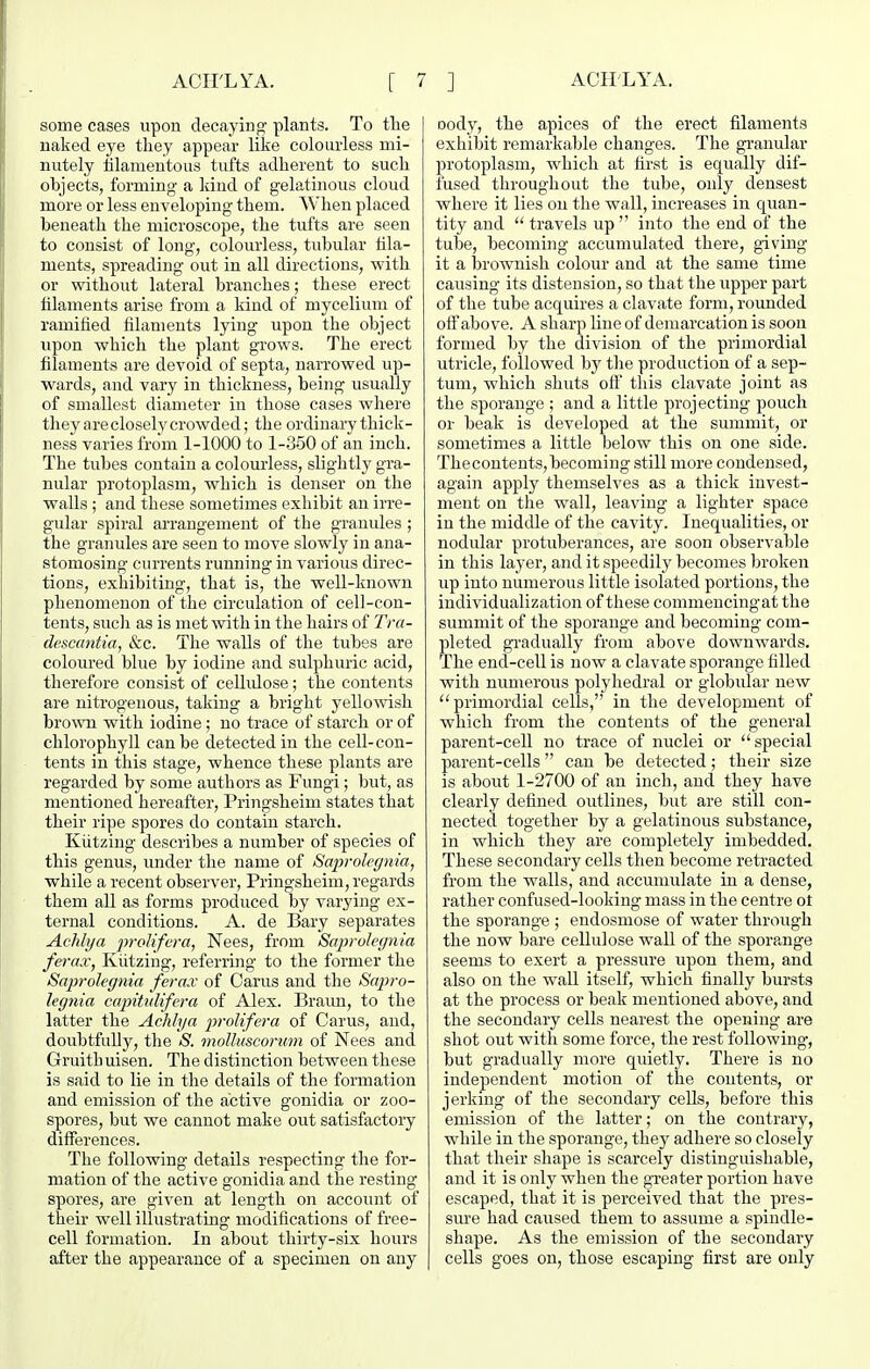 some cases upon decayin<? plants. To the naked eye they appear like colourless mi- nutely filamentous tufts adherent to such objects, forming a liind of gelatinous cloud more or less enveloping them. When placed beneath the microscope, the tufts are seen to consist of long, colourless, tubular fila- ments, spreading out in all directions, with or without lateral branches; these erect filaments arise from a kind of mycelium of ramified filaments lying upon the object upon which the plant grows. The erect filaments are devoid of septa, narrowed up- wards, and vary in thickness, being usually of smallest diameter in those cases where they are closely crowded; the ordinary thick- ness varies from 1-1000 to 1-350 of an inch. The tubes contain a colourless, slightly gra- nular protoplasm, which is denser on the walls ; and these sometimes exhibit an irre- gular spiral arrangement of the granules ; the granules are seen to move slowly in ana- stomosing currents running in various direc- tions, exhibiting, that is, the well-known phenomenon of the circulation of cell-con- tents, such as is met with in the hairs of Tra- descantia, &c. The walls of the tubes are coloured blue by iodine and sulphuric acid, therefore consist of cellulose; the contents are nitrogenous, taking a bright yello'wish brown with iodine; no trace of starch or of chlorophyll can be detected in the cell-con- tents in this stage, whence these plants are regarded by some authors as Fungi; but, as mentioned hereafter, Pringsheim states that their ripe spores do contain starch. Kutzing describes a number of species of this genus, under the name of Saprolcgnia, while a recent observer, Pringsheim, regards them all as forms produced by varying ex- ternal conditions. A. de Bary separates Achlya proKfera, Nees, from Saprulei/nia ferax, Kiitzing, referring to the former the SaproJegnia ferax of Oarus and the Sapi-o- legnia capitnlifera of Alex. Braun, to the latter the Achhja pralifera of Carus, and, doubtfully, the S. molluscorum of Nees and Gruith uisen. The distinction between these is said to lie in the details of the formation and emission of the active gonidia or zoo- spores, but we cannot make out satisfactoiy differences. The following details respecting the for- mation of the active gonidia and the resting spores, are given at length on account of their well illustrating modifications of free- cell formation. In about thirty-six hours after the appearance of a specimen on any Dody, the apices of the erect filaments exhibit remarkable changes. The gi'anular protoplasm, which at first is equally dif- fused throughout the tube, only densest where it lies on the wall, increases in c^uan- tity and  travels up  into the end of the tube, becoming accumulated there, giving it a brownish colour and at the same time causing its distension, so that the upper part of the tube acquires a clavate form, rounded offabove. A sharp line of demarcation is soon formed by the division of the primordial utricle, followed by tlie production of a sep- tum, which shuts oft' this clavate joint as the sporange ; and a little projecting pouch or beak is developed at the summit, or sometimes a little below this on one side. The contents, becoming still more condensed, again apply themselves as a thick invest- ment on the wall, leaving a lighter space in the middle of the cavity. Inequalities, or nodular protuberances, are soon observable in this layer, and it speedily becomes broken up into numerous little isolated portions, the individualization of these commencingat the summit of the sporange and becoming com- pleted gradually from above downwards. The end-cell is now a clavate sporange filled with numerous polyhedral or globular new primordial cells, in the development of which from the contents of the general parent-cell no trace of nuclei or special parent-cells can be detected; their size is about 1-2700 of an inch, and they have clearly defined outlines, but are still con- nected together by a gelatinous substance, in which they are completely imbedded. These secondary cells then become retracted from the walls, and accumulate in a dense, rather confused-looking mass in the centre ot the sporange; endosmose of water through the now bare cellulose wall of the sporange seems to exert a pressure upon them, and also on the wall itself, which finally bursts at the process or beak mentioned above, and the secondary cells nearest the opening are shot out with some force, the rest following-, but gradually more quietly. There is no independent motion of the contents, or jerking of the secondary cells, before this emission of the latter; on the contrary, while in the sporange, they adhere so closely that their shape is scarcely distinguishable, and it is only when the greater portion have escaped, that it is perceived that the pres- sure had caused them to assume a spindle- shape. As the emission of the secondary cells goes on, those escaping first are only
