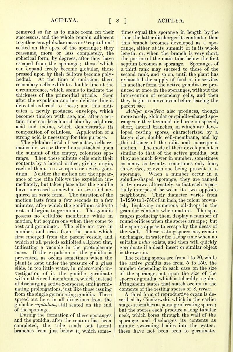 removed so far as to make room for their successors, and the whole remain adherent together as a globular mass or  capitulum  seated on the apex of the sporange; they reassume, more or less completely, the spherical form, by degrees, after they have escaped from the sporange; those which can expand freely become globular, those pressed upon by their fellows become poly- hedral. At the time of emission, these secondary cells exhibit a double line at the circumference, which seems to indicate the thickness of the primordial utricle. Soon after the expulsion another delicate line is detected external to these; and this indi- cates a newly produced envelope, which becomes thicker with age, and after a cer- tain time can be coloured blue by sulphuric acid and iodine, which demonstrates its composition of cellulose. Application of a strong acid is necessary for this purpose. The globular head of secondary cells re- mains for two or three hours attached upon the summit of the empty, colourless spo- range. Then these minute cells emit their contents by a lateral orifice, giving origin, each of them, to a zoospore or active goui- dium. Neither the motion nor the appear- ance of the cilia follows the expulsion im- mediately, but takes place after the gonidia have increased somewhat in size and ac- quired an ovate form. The duration of the motion lasts from a few seconds to a few minutes, after which the gonidiuni sinks to rest and begins to germinate. The gonidia possess no cellulose membrane while in motion, but acquire one when they come to rest and germinate. The cilia are two in number, and arise from the point which first emerged from the parent vesicle, and which at all periods exhibited a lighter tint, indicating a vacuole in the protoplasmic mass. If the expulsion of the gonidia is prevented, as occurs sometimes when the plant is kept under the pressure of a glass slide, in too little water, in microscopic in- vestigation of it, the gonidia germinate within their cell-membranes, which, instead of discharging active zoospores, emit germi- nating prolongations, just like those issuing from the single germinating gonidia. These spread out here in all directions from the globular capitulum, still seated on the end of the sporange. During the formation of these sporanges and the gonidia, after the septum has been completed, the tube sends out lateral branches from just below it, which some- times equal the sporange in length by the time the latter discharges its contents; then this branch becomes developed as a spo- range, either at its summit or in its whole length, or, when the branch is very short, the portion of the main tube below the first septum becomes a sporange. Sporanges of a third rank may succeed to those of the second rank, and so on, until the plant has exhausted the supply of food at its service. In another form the active gonidia are pro- duced at once in the sporanges, without the intervention of secondary cells, and then they begin to move even before leaving the parent sac. Achlya prolifera also produces, though more rarely, globular or spindle-shaped spo- ranges, either terminal or borne on special, short, lateral branches, in which are deve- loped resting spores, characterized by a larger size, double cell-membrane, and by the absence of the cilia and consequent motion. The mode of their development is similar to that of the active gonidia, but they are much fewer in number, sometimes as many as twenty, sometimes only four, three, two, or even one being present in a sporange. When a number occur in a spindle-shaped sporange, they are ranged in two rows, alternately, so that each is par- tially interposed between its two opposite neighbours. Their diameter varies from 1-1250 to 1-750 of an inch, the colour brown- ish, displaying numerous oil-drops in the gTanular contents when mature. The spo- ranges producing them display a number of round orifices when the spores are ripe ; but the spore? appear to escape by the decay of the walls. These resting spores may remain unchanged in water for a long time when no suitable nidus exists, and then will quickly germinate if a dead insect or similar object is thrown in. The resting spores are from 1 to 20, while the active gonidia are from 5 to 150, the number depending in each case on the size of the sporange, not upon the size of the spores or gonidia, which is tolerably regular. Pringsheim states that starch occurs in the contents of the resting spores of S. ferax. A third form of reproductive organ is de- scribed by Cienkowski, which in the earlier stages resembles a sporange of resting spores; but the spores each produce a long tubular neck, which bores through the wall of the sporange and discharges its contents as minute swarming bodies into the water; these have not been seen to germinate.