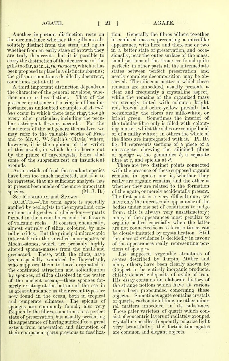 Another important distinction rests on tlie circumstance whether the gills are ab- solutely distinct from the stem, and again wl) ether from au early stage of growth they are truly decurrent; but it is possible to carry the distinction of the decurrence of the gills too far, as in A.ftlrfuraceus,^fih.\(i\l it has been proposed to place in a distinct subgenus; the gills are sometimes decidedly decurrent, sometimes not at all so. A third important distinction depends on the character of the general envelope, whe- ther more or less distinct. That of the presence or absence of a ring is of less im- portance, as undoubted examples of A. mel- leus occur in which there is no ring, though every other particular, including the pecu- liar astringent flavour, accords. For the characters of the subgenera themselves, we may refer to the valuable works of Fries and to Mr. G. W. Smith's 'Clavis,' where, however, it is the opinion of the writer of this article, in which he is borne out by the prince of mycologists. Fries, that some of the subgenera rest on insufficient groimds. As an article of food the esculent species have been too much neglected, and it is to be regretted that no sufHcient analysis has at present been made of the moi-e important species. (M. J. B.) See Mttshboom and Spawn. AGATE.—The term agate is specially applied by geologists to the crystalloid con- cretions and geodes of chalcedony—quartz formed in the steam-holes and the fissures of volcanic rocks. It consists, chemically, almost entirely of silica, coloured by me- tallic oxides. But the pi'incipal microscopic interest lies in the so-called moss-agates or Mocha-stones, which are probably highly altered sponge-masses from the chalk and greensand. These, with the flints, have been especially examined by Bowerbank, who supposes them to have originated in the continued attraction and solidification by sponges, of silica dissolved in the water of the ancient ocean,—these sponges for- merly existing at the bottom of the sea in as great abundance as their recent types are now foimd in the ocean, both in tropical and temperate climates. The spicula of sponges are commonly found; also very frequently the fibres, sometimes in a perfect state of preservation, but usually presenting the appearance of having suffered to a great extent from maceration and disruption of their component parts previous to fossiliza- tion. Generally the fibres adhere together in confused masses, presenting a moss-like appearance, with here and there one or two in a better state of preservation, and occa- sionally, near the outer surface of the mass, small portions of the tissue are found quite perfect; in other parts all the intermediate states between perfect preservation and nearly complete decomposition may be ob- served. The siliceous matter in which these remains are imbedded, usually presents a clear and frequently a crystalline aspect, while the remains of the organized mass are strongly tinted with colours : bright red, brown and ochre-yellow prevail; but occasionally the fibres are milk-white, or bright green. Sometimes the interior of the tubular fibre only is filled with colour- ing-matter, whilst the sides are semipellucid or of a milky white; in others the whole of the fibres are impregnated with it. PI. 19. tig. 14 represents sections of a piece of a moss-agate, showing the silicified fibres of sponge «, the gemmules h, a separate fibre at c, and spicula at d. There are two distinct points connected with the presence of these supposed organic remains in agate; one is, whether they really are organic remains, and the other is whether they are related to the formation of the agate, or merely accidentally present. The first point is a very difficult one ; we have only the microscopic appearance of the bodies under one set of conditions to judge from: this is always very unsatisfactory; many of the appearances most peculiar to organic bodies, especially when the latter are not connected so as to form a tissue, can be closely imitated by crystallization. Still the mass of evidence is decidedly in favour of the appearances really representing por- tions of sponges. The supposed vegetable structures of agates described by Turpin, Miiller and many others, have been clearly shown by Goppert to be entirely inorganic products, chiefly dendritic deposits of oxide of iron. His essay contains an elaborate history of the strange notions which have at various times been propounded concerning these objects. Sometimes agate contains crystals of quartz, carbonate of lime, or other mine- ral matters imbedded in its substance. Those paler varieties of quartz which con- sist of concentric layers of radiately gTOuped crystalline needles, frequently polarize light very beautifully; the fortification-agates are common and elegant objects.