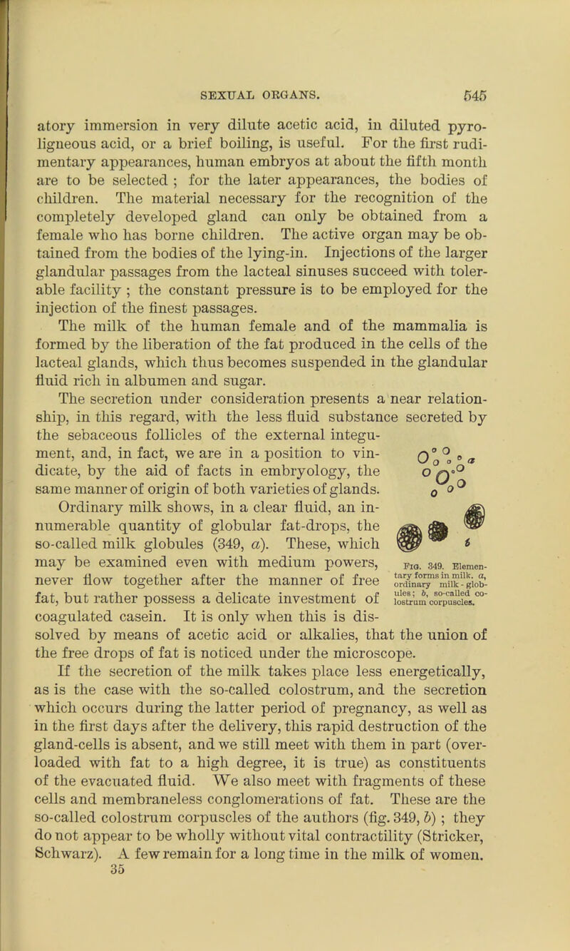 atory immersion in very dilute acetic acid, in diluted pyro- ligneous acid, or a brief boiling, is useful. For the first rudi- mentary appearances, human embryos at about the fifth month are to be selected ; for the later appearances, the bodies of children. The material necessary for the recognition of the completely developed gland can only be obtained from a female who has borne children. The active organ may be ob- tained from the bodies of the lying-in. Injections of the larger glandular passages from the lacteal sinuses succeed with toler- able facility ; the constant pressure is to be employed for the injection of the finest passages. The milk of the human female and of the mammalia is formed by the liberation of the fat produced in the cells of the lacteal glands, which thus becomes suspended in the glandular fluid rich in albumen and sugar. The secretion under consideration presents a near relation- ship, in this regard, with the less fluid substance secreted by the sebaceous follicles of the external integu- ment, and, in fact, we are in a position to vin- dicate, by the aid of facts in embryology, the same manner of origin of both varieties of glands. Ordinary milk shows, in a clear fluid, an in- numerable quantity of globular fat-drops, the so-called milk globules (349, a). These, which may be examined even with medium powers, O o o 0 a °ooS never flow together after the manner of free Fig. 349. Elemen- tary forms in milk, a, ordinary milk - glob- ules; b, so-called co- lostrum corpuscles. fat, but rather possess a delicate investment of coagulated casein. It is only when this is dis- solved by means of acetic acid or alkalies, that the union of the free drops of fat is noticed under the microscope. If the secretion of the milk takes place less energetically, as is the case with the so-called colostrum, and the secretion which occurs during the latter period of pregnancy, as well as in the first days after the delivery, this rapid destruction of the gland-cells is absent, and we still meet with them in part (over- loaded with fat to a high degree, it is true) as constituents of the evacuated fluid. We also meet with fragments of these cells and membraneless conglomerations of fat. These are the so-called colostrum corpuscles of the authors (fig. 349, b) ; they do not appear to be wholly without vital contractility (Strieker, Schwarz). A few remain for a long time in the milk of women. 35