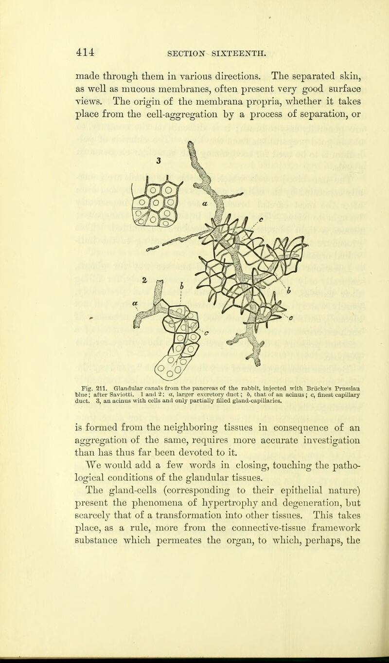 made through them in various directions. The separated skin, as well as mucous membranes, often present very good surface views. The origin of the membrana propria, whether it takes place from the cell-aggregation by a process of separation, or Fig. 211. Glandular canals from the pancreas of the rabbit, injected with Briicke's Pmeslau blue; after Saviotti. 1 and 2; «, larger excretory duct; b, that of au acinus; c, finest capillary duct. 3, an acinus with cells and only partially tilled gland-capillaries. is formed from the neighboring tissues in consequence of an aggregation of the same, requires more accurate investigation than has thus far been devoted to it. We would add a few words in closing, touching the patho- logical conditions of the glandular tissues. The gland-cells (corresponding to their epithelial nature) present the phenomena of hypertrophy and degeneration, but scarcely that of a transformation into other tissues. This takes place, as a rule, more from the connective-tissue framework substance which permeates the organ, to which, perhaps, the