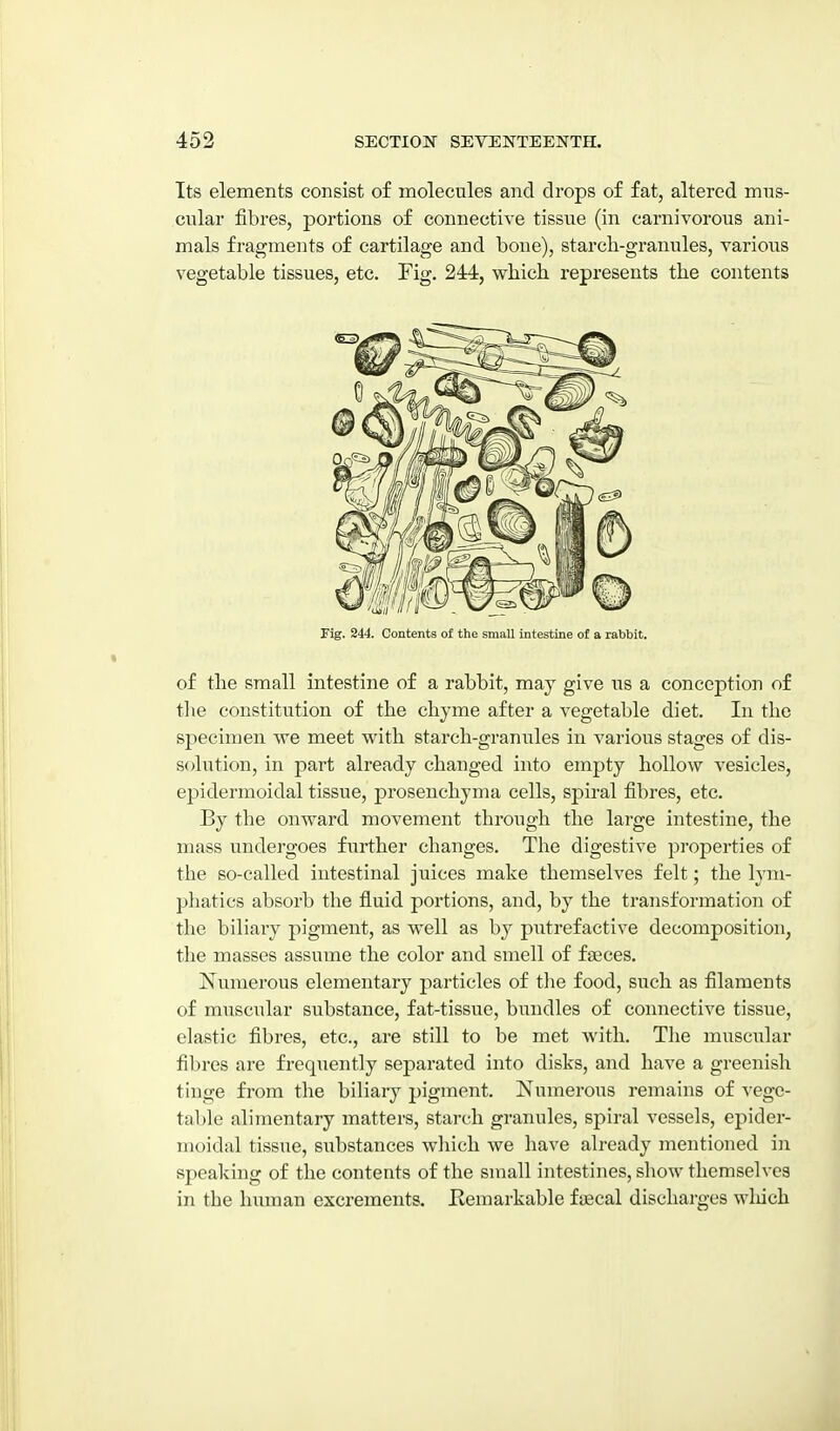 Its elements consist of molecules and drops of fat, altered mus- cular fibres, portions of connective tissue (in carnivorous ani- mals fragments of cartilage and bone), starch-granules, various vegetable tissues, etc. Fig. 244, which represents the contents Fig. 244. Contents of the small intestine of a rabbit. of the small intestine of a rabbit, may give us a conception of the constitution of the chyme after a vegetable diet. In the specimen we meet with starch-granules in various stages of dis- solution, in pai't already changed into empty hollow vesicles, epidermoidal tissue, prosenchyma cells, spiral fibres, etc. By the onward movement through the large intestine, the mass undergoes further changes. The digestive properties of the so-called intestinal juices make themselves felt; the lym- phatics absorb the fluid portions, and, by the transformation of the biliary pigment, as well as by putrefactive decomposition, the masses assume the color and smell of faeces. Numerous elementary particles of the food, such as filaments of muscular substance, fat-tissue, bundles of connective tissue, elastic fibres, etc., are still to be met with. The muscialar fibres are frequently separated into disks, and have a greenish tinge from the biliary pigment. Numerous remains of vege- table alimentary matters, starch granules, spiral vessels, epider- moidal tissue, substances which we have already mentioned in speaking of the contents of the small intestines, show themselves in the human excrements. Kemarkable faecal discharges wliich