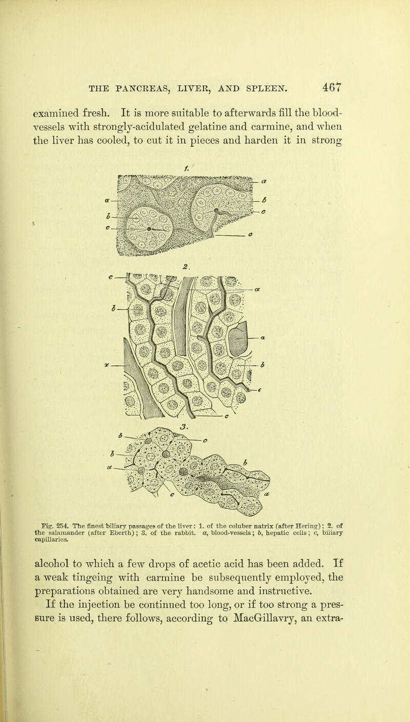 examined fresh. It is more siiitable to afterwards fill tlie blood- vessels with strongly-acidulated gelatine and carmine, and when the liver has cooled, to cut it in pieces and harden it in strong C— C'.v', . ,. o 2. Fig. 254. The finest biliary passages of the liver: 1. of the coluber natrix (after Hering); 2. of the salamander (after Eberth); 3. of the rabbit, a, blood-vessels; 6, hepatic cells; c, biliary capillaries. alcohol to which a few drops of acetic acid has been added. If a weak tingeing with carmine be subsequently employed, the preparations obtained are very handsome and instructive. If the injection be continued too long, or if too strong a pres- sure is used, there follows, according to MacGillavry, an extra-