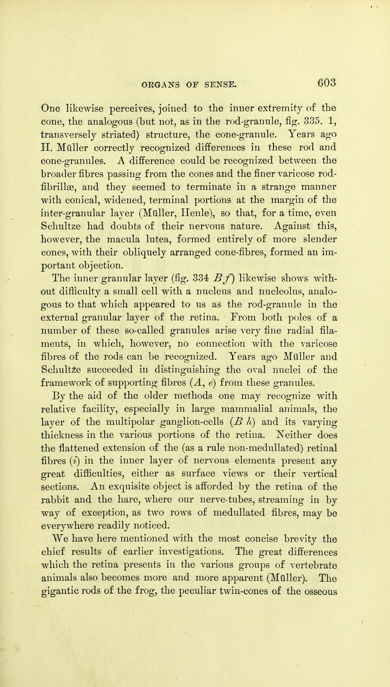 One likewise perceives, joined to the inner extremity of the cone, the analogous (but not, as in the rod-grannie, fig. 335. 1, transversely striated) structure, the cone-granule. Years ago II. Muller correctly recognized differences in these rod and cone-granules. A difference could be recognized between the broader fibres passing from the cones and the finer varicose rod- fibrillse, and they seemed to terminate in a strange manner with conical, widened, terminal portions at the margin of the inter-granular layer (Muller, Ilenle), so that, for a time, even Schultze had doubts of their nervous nature. Against this, however, the macula lutea, formed entirely of more slender cones, with their obliquely arranged cone-fibres, formed an im- portant objection. The iimer granular layer (fig. 334 Bf) likewise shows with- out difficulty a small cell with a nucleus and nucleolus, analo- gous to that which appeared to us as the rod-granule in the external granular layer of the retina. From both poles of a number of these so-called granules arise very fine radial fila- ments, in which, however, no connection with the varicose fibres of the rods can be recognized. Years ago Muller and Schult2e succeeded in distinguishing the oval nuclei of the framework of supporting fibres (J., e) from these granules. By the aid of the older methods one may recognize with relative facility, especially in large mammalial animals, the layer of the multipolar ganglion-cells {B h) and its varying thickness in the various portions of the retina. Xeither does the flattened extension of the (as a rule non-medullated) retinal fibres {i) in the inner layer of nervous elements present any great difficulties, either as surface views or their vertical sections. An exquisite object is afforded by the retina of the rabbit and the hare, where our nerve-tubes, streaming in by way of exception, as two rows of medullated fibres, may be everywhere readily noticed. We have here mentioned with the most concise brevity the chief results of earlier investigations. The great differences which the retina presents in the various groups of vertebrate animals also becomes more and more apparent (Mailer). The gigantic rods of the frog, the peculiar twin-cones of the osseous