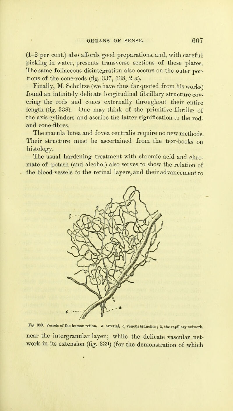 (1-2 per cent.) also affords good preparations, and, with careful picking in water, presents transverse sections of these plates. The same foliaceous disintegration also occurs on the outer por- tions of the cone-rods (fig. 337, 338, 2 a). Finally, M. Schultze (we iiave thus far quoted from his works) foimd an infinitely delicate longitudinal fibrillary structure cov- ering the rods and cones externally throughout their entire length (fig. 338). One may think of the primitive fibrillse of the axis-cylinders and ascribe the latter signification to the rod- and cone-fibres. The macula lutea and fovea centralis requii-e no new methods. Their structure must be ascertained from the text-books on histology. The usual hardening treatment with chromic acid and chro- mate of potash (and alcohol) also serves to show the relation of the blood-vessels to the retinal layers, and their advancement to Fig. 339. Vessels of the human retina, a. arterial, c, venous branches; 5, the capillary network. near the intergranular layer; while the delicate vascular net- work in its extension (fig. 339) (for the demonstration of which