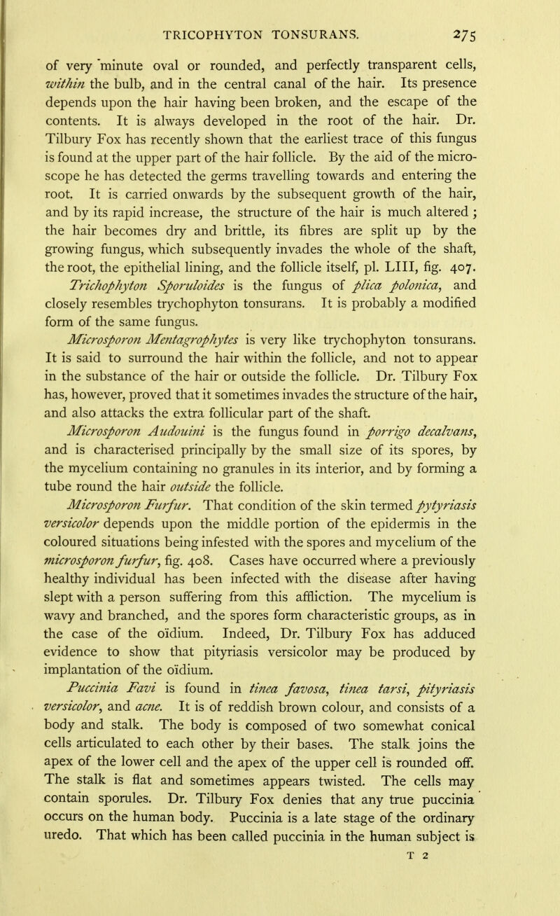 TRICOPHYTON TONSURANS. 275 of very 'minute oval or rounded, and perfectly transparent cells, within the bulb, and in the central canal of the hair. Its presence depends upon the hair having been broken, and the escape of the contents. It is always developed in the root of the hair. Dr. Tilbury Fox has recently shown that the earliest trace of this fungus is found at the upper part of the hair follicle. By the aid of the micro- scope he has detected the germs travelling towards and entering the root. It is carried onwards by the subsequent growth of the hair, and by its rapid increase, the structure of the hair is much altered ; the hair becomes dry and brittle, its fibres are split up by the growing fungus, which subsequently invades the whole of the shaft, the root, the epithelial lining, and the follicle itself, pi. LIII, fig. 407. Trichophyton Sporuloides is the fungus of plica polonica, and closely resembles trychophyton tonsurans. It is probably a modified form of the same fungus. Microsporon Mentagrophytes is very like trychophyton tonsurans. It is said to surround the hair within the follicle, and not to appear in the substance of the hair or outside the follicle. Dr. Tilbury Fox has, however, proved that it sometimes invades the structure of the hair, and also attacks the extra follicular part of the shaft. Microsporon Aiidouini is the fungus found in porrigo decalvans^ and is characterised principally by the small size of its spores, by the mycelium containing no granules in its interior, and by forming a tube round the hair outside the follicle. Microsporon Furfur. That condition of the skin termed pytyriasis versicolor depends upon the middle portion of the epidermis in the coloured situations being infested with the spores and mycelium of the microsporon furfur^ fig. 408. Cases have occurred where a previously healthy individual has been infected with the disease after having slept with a person suffering from this affliction. The mycelium is wavy and branched, and the spores form characteristic groups, as in the case of the oidium. Indeed, Dr. Tilbury Fox has adduced evidence to show that pityriasis versicolor may be produced by implantation of the oidium. Puccinia Favi is found in tinea favosa, tinea tarsi, pityriasis versicolor^ and acne. It is of reddish brown colour, and consists of a body and stalk. The body is composed of two somewhat conical cells articulated to each other by their bases. The stalk joins the apex of the lower cell and the apex of the upper cell is rounded off. The stalk is flat and sometimes appears twisted. The cells may contain sporules. Dr. Tilbury Fox denies that any true puccinia' occurs on the human body. Puccinia is a late stage of the ordinary uredo. That which has been called puccinia in the human subject is
