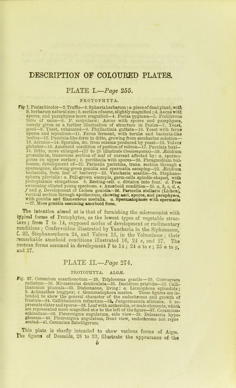 DESCRIPTION OF COLOTTEED PLATES. PLATE l.—Page 255. PROTOPHYTA. Vig. I. Pezizabicolor—2. TruflBe—3. Sphseriaherbarum: a. piece of dead plant, witt S. herbarum natural size; 6. section of same, slightly magnified; d. Ascus idtt spores, and paraphyses more magnified—i. Peziza pygma;a—5. Proliferous form of same—0. P. corpulasis; Ascus with spores and paraphyses, merely given as a further illustration of structme in Peziza—7. Yeast, good—8. Yeast, exliausted—9. Phyllactinia guttata—10. Yeast with favu« spores and mycelium—11. Favus ferment, with torulae and bacteria-like bodies—12. Puccinia-like-form in ditto, growing from saccharine solution— 13. Aerozoa—14. Sporules, <Sic. from eczema produced by yeast—15. Volvox globator—10. Amoeboid condition of portion of volvox—17. Puccinia buxi— IS. Ditto, more enlarged—(17 to 20 illustrate Contomycetes)—19. .Slcidium grossularia;, transverse section of leaf of ciirrant affected by: a. spermo- gones on upper surface ; 6. perithecia with spores—20. Phragmidium bul- bosum, development of—21. Parmelia parietiia, trans, section through ( spermogone, showmg green gonidia and spermatia escaping—22. Jicidium berberidis, from leaf of berberry—23. Vaucheria sessilis—24. Stephano- sjilKcra pluviahs: a. Pull-gro\vn example, germ-cells spindle-shaped, with protoplasmic elongations. 6. Besting-cell. c. division into four. d. Free swimming ciliated young specimen, e. Amoeboid condition—25. a, h, c, d, e, f and g, Development of Lichen gonidia—26. Parmelia stellaris (Lichen), vertical section through apothoeium, showing asci, spores, and paraphyses, with gonidia and filamentous medulla, o. Spenn«tophore with spemuiti* —27. Hoss gonidia astuming •moeboid form. The intention aimed at is that of furnishing the inicroscopist with lypical forms of Protophytes, as the lowest types of vegetable struc- Cure; from 7 to 14, supposed modes of development or rudimentary conditions ; Confervoidea3 illustrated by Vaucheria in the SiphonaceK, f. 23, Stephanosphoera 24, and Volvox 15, in the Volvocinefe ; their pemarkable amoeboid conditions illustrated 16, 24 e, and 27. Tho protean forms assumed in development 7 to l4 : 24 a to c ; 25 a to a PLATE II.—Page 274. PROTOPHTTA. ALGiB. rig. 27. Ceramium acanthonotum — 28. Triploceras giacile—29. Cosmanum radiatum—30. Micrasterias denticulata—31. Docidium pristida>-32. CaUi- thamnion plumula—33. Diatomaceae, living: o. Licmophora splcndida; t. Achnauthes longipes; c. Grammatophora marina. These figures are in- tended to show the general character of the endochromo and growth of frustule—34. CaUithamnion refractum—36, Jungemiannia albicans, b re- presents elater and spores—36. Leaf with antheridia, or male elements, which are represented more magnified at a to the left of the figure—37. Ceraraium- oohinotum—38. Pleurosigma angulatum, side view—39. Delesseria hypo- glossum—40. Pleurosigma angulatum, front view, endochrome not repre sented-41.Ceramium flabolligerum. This plate is chiefly intended to show various forms of Algae. The figurei of Desmids, 28 to 33, illustrate the appearance of the b