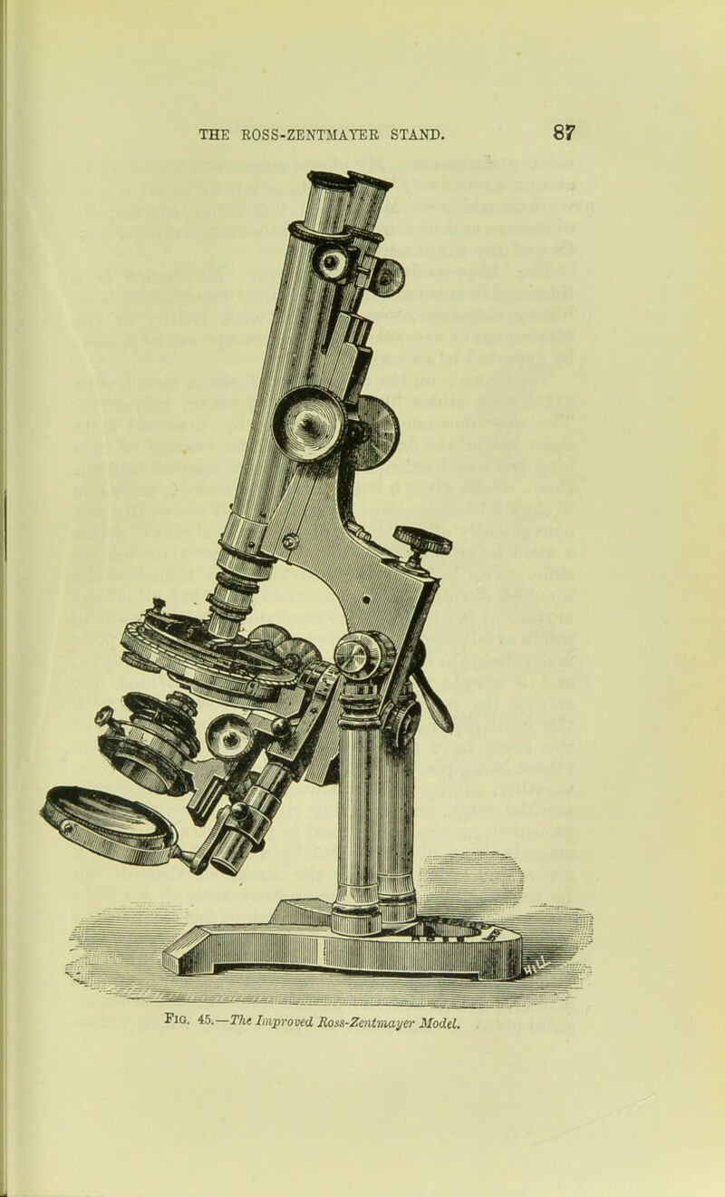 Fig. i5.—The Improved Rois-Zenimayer Model.