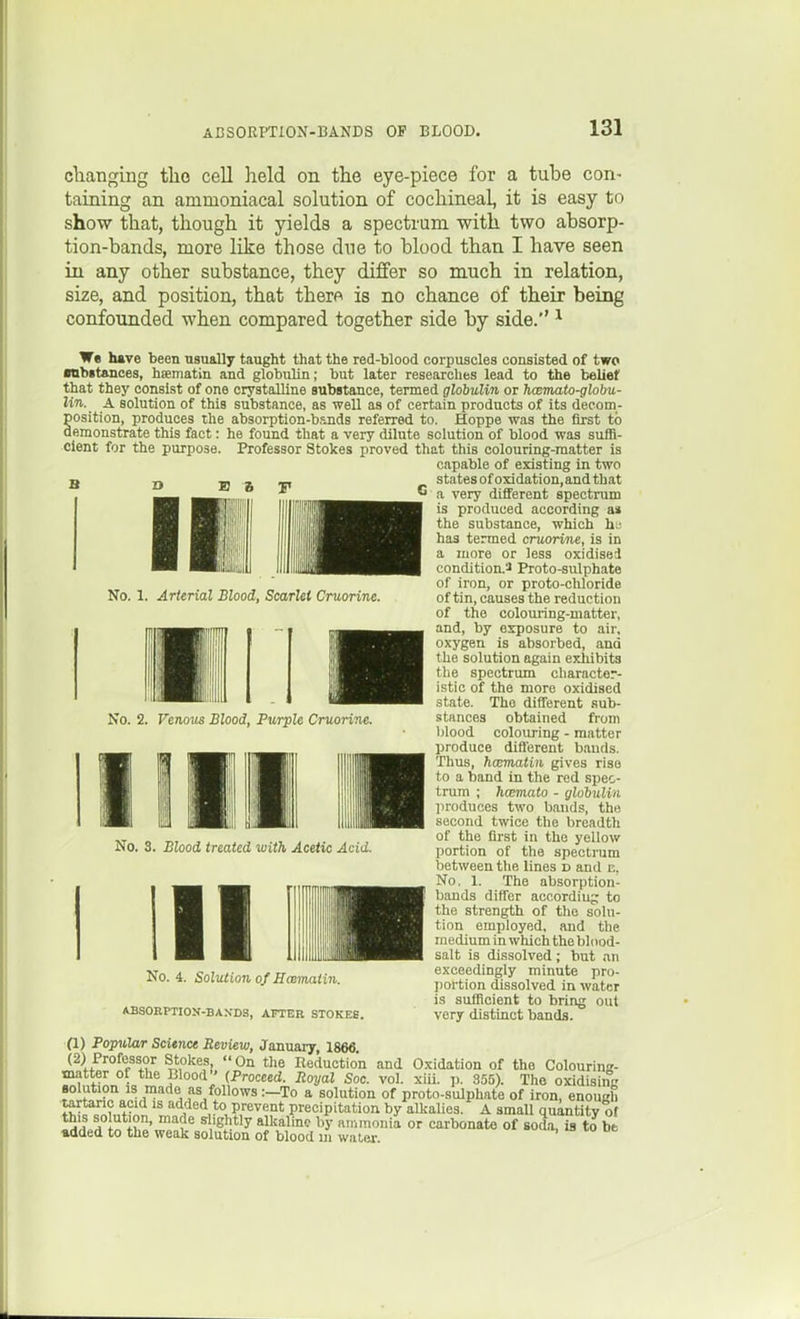 changing tlio cell held on the eye-piece for a tube con- taining an ammoniacal solution of cochineal, it is easy to show that, though it yields a spectrum with two absorp- tion-bands, more like those due to blood than I have seen in any other substance, they differ so much in relation, size, and position, that therf^ is no chance of their being confounded when compared together side by side.'' ^ We hive been usually taught that the red-blood corpuscles consisted of two mbstances, haematin and globulin; but later researches lead to the belief that they consist of one crystalline substance, termed globulin or licemato-glohu- lin. A solution of this substance, as well as of certain products of its decom- position, produces the absorption-bands referred to. Hoppe was the first to demonstrate this fact: he found that a very dilute solution of blood was suffi- cient for the purpose. Professor Stokes proved that this colouring-matter is capable of existing in two statesofoxidation.andthat a very different spectrum is produced according a* the substance, which hy has termed cmorine, is in a more or less oxidised condition.-' Proto-sulphate of iron, or proto-chloride of tin, causes the reduction of the colouring-matter, and, by exposure to air, oxygen is absorbed, and the solution again exliibits tlie spectrum character- istic of the more oxidised state. The different sub- stances obtained from blood colouring - matter produce different bauds. Thus, haematin gives rise t o a band in the red spec- trum ; hcemato - globulin liroduces two bauds, the second twice the breadth of the first in the yellow portion of the spectrum between the lines d and e, No. 1. The absorption- bands differ accordiug to the strength of the soln- tion employed, and the medium in which the blood- salt is dissolved ; but an exceedingly minute pro- portion dissolved in water is sufficient to bring out very distinct bands. No. 1. Arterial Blood, Scarlet Cruorinc. No. 2. Venom Blood, Purple Cruorine. Solution of Emmaiin. ABSORPTIOlf-BANDS, AFTER STOKEE. YD PojnClar Scitnct Review, January, 1866, (2) Professor Stokes, On the Reduction and O.xidation of the Colourina- matter of the Blood'' (Proceed. Royal Soc. vol. xiii. p. 355). The oxidisinc solution is made as follows:—To a solution of proto-sulphate of iron, enouah ■tartaric acid is added to prevent precipitation by alkalies. A small quintitv of iSd/d n ^gj!y Opaline b^- a.r.monia or carbonate of soda.Ts to b. added to the weak solution of blood in watei-.