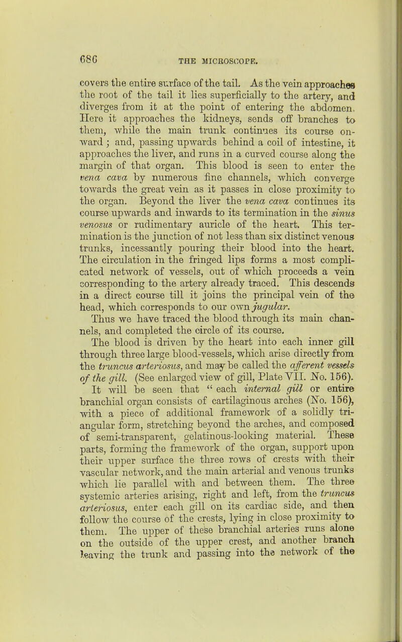 68G covers the entire surface of the tail. As the vein approaches the root of the tail it lies superficially to the artery, and diverges from it at the point of entering the abdomen, Here it approaches the kidneys, sends off branches to them, while the maia trunk continues its course on- ward ; and, passing upwards behind a coil of intestine, it approaches the liver, and runs in a curved course along the margin of that organ. This blood is seen to enter the vena cava by numerous fine channels, which converge towards the great vein as it passes in close proximity to the organ. Beyond the liver the vena cava continues its course upwards and inwards to its termination in the sinus venosus or rudimentary auricle of the heart. This ter- mination is the junction of not less than six distinct venous trunks, incessantly pouring their blood, into the heart. The circulation in the fringed lips forms a most compli- cated network of vessels, out of which proceeds a vein corresponding to the artery already traced. This descends in a direct course till it joins the principal vein of the head, which corresponds to our oy^n jugular. Thus we have traced the blood through its main chan- nels, and completed the circle of its course. The blood is driven by the heart into eacli inner gill through three large blood-vessels, which arise directly from the tr-uncv^ arteriosus, and may be called the afferent vessels of the gill. (See enlarged view of gill, Plate YII. Eo. 156). It will be seen that  eacb internal gill or entire branchial organ consists of cartilaginous arches (Xo. 156), with a piece of additional frameworlc of a solidly tri- angular form, stretching beyond the arches, and composed of semi-transparent, gelatinous-looking material. These parts, forming the framework of the organ, support upon their upper surface tlie tlii-ee rows of crests with their vascular network, and the main arterial and venous trunks which lie parallel with and between them. The three systemic arteries arising, right and left, from the truncus arteriosus, enter each gill on its cardiac side, and then follow the course of the crests, lying in close proximity to them. The upper of these branchial arteries runs alone on the outside of the upper crest, and another branch leaving the trunk and passing into the network of the