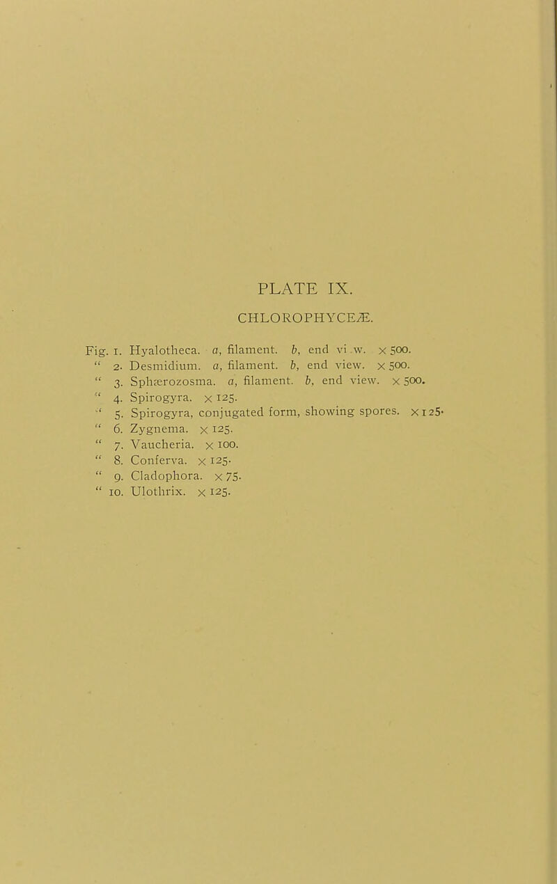 CHLOROPHYCE/E. g. i. Hyalotheca. a, filament, b, end vi .w. x 500. 1 2. Desmidium. a, filament, b, end view, x 5°o. ' 3. Sph:erozosma. a, filament, fc, end view, x 500* ' 4. Spirogyra. x 125. ' 5. Spirogyra, conjugated form, showing spores, x 1 ' 6. Zygnema. x 125- ' 7. Vaucheria. x 100. ' 8. Conferva, x 125- ' 9. Cladophora. x 75-