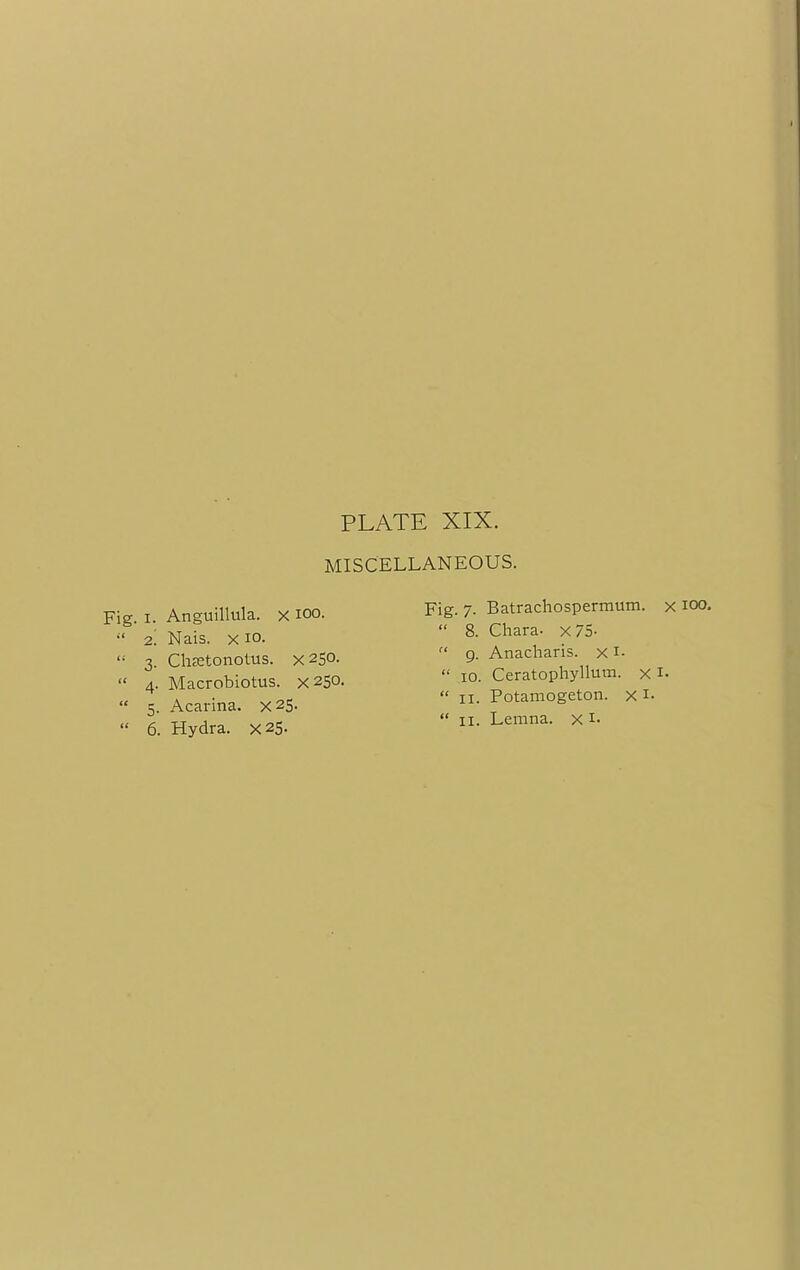 MISCELLANEOUS. Fig. i. Anguillula. x 100.  2. Nais. x io.  3. Chffitonotus. X250.  4. Macrobiotus. X250.  5. Acarina. X25.  6. Hydra. X25- Fig. 7. Batrachospermum. x 100.  8. Chara- x/5-  9. Anacharis. x I-  10. Ceratophyllum. x 1.  11. Potamogeton. x I.  11. Lemna. x I-