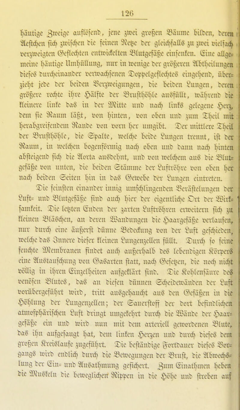 T)äutii|C 3^voioic aufiö)cnb, \c\\c jwci gYotH'n iPSume Bitten, tcven 3lcftd>cn fid) j\in)d)cn tie feinen i)ieye tcv >}loid>faÜiS jn jiuei tielfac^ wtjireiiiton l>'>oflod)ten entivicfelten 33luti5efäi;c einicnfcn. Qnc ciü^e: meine bäutii^e Unibüllunot, nnv in irenivje tev ijvefxnen ^tttbeilun^en tiefex^ t>uvd)einantev ivvu\ul))euen J^cppelcjefledne^ einl),ehe^^, iiber= lict}t [Ctc ta Beiden iLHn-jiveioiunii,en, tie Beiden l-unijen, teven gtvpeve vedite iBve §älfte t-ev il?vnftböble vm^5fiiUt, n.\ilnent tic Heinexv linfc baS in fccv iDJitte nnt nviA linfö gelegene öevj, bem fie Üiaunt lä{u, l^cn binten, i^Mt oben nn^ |iuni Ibeil mit BevaB.ueifenfeni i)iante lunx innn bev umoiibt. 4^ev mittlere Jbeil tev '-!?vnftböble, tie epalte, n>eld)e Beite \;uniien üennt, ift t^cr 9ivmm, in iveldien Bccjenfönni^ nvid) cBen unt tv-um na(^ binten aBfteiijenb fid? tie ^lovta vmStebnt, nnb luni iceldiem anö tie i}?lnt= gefäpe fcn nnten, bie Beiden *2tämme ber :?nfnöbve tcn cBcn ^er nad) Beiten «leiten bin in tvi^o (FvnveBe tev ^-uncjen eintreten. iTie feinften eiiuintev innic^ um)d}lini];enren iHn\ifteluncien ter Suft= nnb Ü?lutc\efäi;e ftnb cind) biev tev eio;entlid>e Cn tev ilnt-f= [cimfeit. rie leinen Ointen tev jviften i^ufttcbven exiveitevn fi* jii ffeinen i^lä^M)en, aw teven i!,l\tntnnoien tie ^avivjjefäjje iv:vUxnfen, nur bnvd) eine äuj;e\ft bünne ^^eterfnncj vcn tev ^nft cj;efd)ieten, »eld^e ta^^ innere tiefev fleinen ^^uniienjeUen ffißt. Tni-d> fo feine fendne 3)iemBvanen fintet viud^ an[;evbalB ti^^ leBenrivien j^övpevS eine 'JlniManfdnuuii oen (i'MiSanen ftatt, nadi lS>c)et^en, tie nedi nidbt »ötlii} in ibrcn lIin5elBeiten anfijeflätt fint. '^ie .v?i>blenf5nve te« fenPfen ii^lnteiS, ta^o vin tiefen tünnen >2d>eiteivänten tev ^uft i^ctiiBev.jefiünt unvt, hitt anx\u'Band>t vm§ ten (Sefaßcn in tie ^^öblnnoi rev l^^unv^en^ellen; tev eviuevfteff tev tcvt Beftntli*ett ahncfvbänfd)en ^uft tvinoit nnunefebvt tnvdi tie il\iute tev $>aav= cjefäße ein nnt teivt nnn mit tem aneüeU i^enu^vtenen i^Uite, ba§ iBn aufijefvmcjt bvit, tem linfen ^lex^en nnt tm^* tiefet tem gvcpen ilveiiiUinfe jngefiU^vt. •5^ie Beftäntioie ivmtanev tief65 ^^ci^: öcin.3v5 unvt entlid> tuv* tie Ü^eiveoiunoien tev ^i^rnft, tie -JlBivediSs Uuux tev ein= nnt :?ln^atbmnniii ^lefidun-f. >^um iSinatbmen beben tie aih^5feln tie Ben\\xlid)en Oiippcn in tie ^ebe nnt üveBen auf