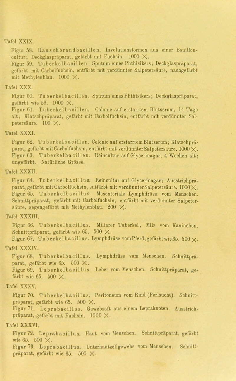 Figur 58. Rauschbrandbacillen. Involutionsfonnen aus einer Bouillon- cultur; Deckglaspräparat, gefärbt mit Fuchsin. 1000 X. Figur 59. Tuberkelbacillen. Sputum eines Phthisikers; Deckglaspräparat, gefärbt mit Carboifuchsin, entfärbt mit verdünnter Salpetersäure, nachgefärbt mit Methylenblau. 1000 X- Tafel XXX. Figur 60. Tuberkelbacillen. Sputum eines Phthisikers; Deckglaspräparat, gefärbt wie 59. 1000 X. Figur 61. Tuberkelbacillen. Colonie auf erstarrtem Blutserum, 14 Tage alt; Klatschpräparat, gefärbt mit Carboifuchsin, entfärbt mit verdünnter Sal- petersäure. 100 X. Tatei XXXI. Figur 62. Tuberkelbacillen. Colonie auf erstarrtem Blutserum; Klatschprä- parat, gefärbt mit Carboifuchsin, entfärbt mit verdünnter Salpetersäure. 1000 X- Figur 63. Tuberkelbacillen. Reincultur auf Glycerinagar, 4 Wochen alt; ungefärbt. Natürliche Grösse. Tafel XXXII. Figur 64. Tuberkelbacillus. Reincultur auf Glycerinagar; Ausstrichprä- parat, gefärbt mit Carboifuchsin, entfärbt mit verdünnter Salpetersäure. 1000 X. Figur 65. Tuberkelbacillus. Mesenteriale Lymphdrüse vom Menschen. Schnittpräparat, gefärbt mit Carboifuchsin, entfärbt mit verdünnter Salpeter- säure, gegengefärbt mit Methylenblau. 200 X- Tafel XXXIII. Figur 66. Tuberkelbacillus. Miliarer Tuberkel, Milz vom Kaninchen. Schnittpräparat, gefärbt wie 65. 500 X- Figur 67. Tuberkelbacillus. Lymphdrüse vom Pferd, gefärbt wie 65. 500 X- Tafel XXXIV. Figur 68. Tuberkelbacillus. Lymphdrüse vom Menschen. Schnittprä- parat, gefärbt wie 65. 500 X. Figur 69. Tuberkelbacillus. Leber vom Menschen. Schnittpräparat, ge- färbt wie 65. 500 X. Tafel XXXV. Figur 70. Tuberkelbacillus. Peritoneum vom Rind (Perlsucht). Schnitt- präparat, gefärbt wie 65. 500 X- Figur 71. Leprabacillus. Gewebsaft aus einem Lepraknoten. Ausstrich- präparat, gefärbt mit Fuchsin. 1000 X. Tafel XXXVI. Figur72. Leprabacillus. Haut vom Menschen. Schnittpräparat, gefärbt wie 65. 500 X. Figur 73. Leprabacillus. Unterhautzellgewebe vom Menschen. Schnitt- präparat, gefärbt wie 65. 500 X-