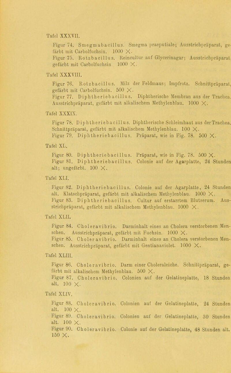Figur 74. Smegmabacillus. Smegma praeputiale; Ausstrichj)räparat, ge- färbt mit Carbolfucbsin. 1000 X- Figur 75. Rotzbacillus. Reincultur auf Glycerinagar; Ausstricbpräparat, gefärbt mit Carbolfucbsin. 1000 X. Tafel XXXVIII. Figur 76. Rotzbacillus. Milz der Feldmaus; Impfrotz. Schnittpräparat, gefärbt mit Carbolfucbsin. 500 X- Figur 77. Dipbtberiebacillus. Diphtherische Membran aus der Trachea. Ausstrichpräparat, gefärbt mit alkalischem Methylenblau. 1000 X. Tafel XXXIX. Figur 78. Diphtheriebacillus. Diphtherische Schleimhaut aus der Trachea. Schnittpräparat, gefärbt mit alkalischem Methylenblau. 100 X- Figur 79. Diphtheriebacillus. Präparat, wie in Fig. 78. 500 X. Tafel XL. Figur 80. Diphtheriebacillus. Präparat, wie in Fig. 78. 500 X. Figur 81. Diphtheriebacillus. Colonie auf der Agarplatte, 24 Stunden alt; ungefärbt. 100 X. Tafel XLI. Figur 82. Diphtheriebacillus. Colonie auf der Agarplatte, 24 Stunden alt. Klatschpräparat, gefärbt mit alkalischem Methylenblau. 1000 X. Figur 83. Diphtheriebacillus. Cultur auf erstarrtem Blutserum. Aus- strichpräparat, gefärbt mit alkalischem Methylenblau. 1000 X. Tafel XLII. Figur 84. Choleravibrio. Darminhalt eines an Cholera verstorbenen Men- schen. Ausstrichpräparat, gefärbt mit Fuchsin. 1000 X. Figur 85. Choleravibrio. Darminhalt eines an Cholera verstorbenen Men- schen. Ausstricbpräparat, gefärbt mit Gentianaviolet. 1000 X. Tafel XLIII. Figur 86. Choleravibrio. Darm einer Choleraleiche. Schnittpräparat, ge- färbt mit alkalischem Methylenblau. 500 X. Figur 87. Choleravibrio. Colonien auf der Gelatineplatte, 18 Stunden alt. 100 X. Tafel XLIV. Figur 88. Choleravibrio. Colonien aut der Gelatineplatte, 24 Stunden alt. 100 X. Figur 89. Choleravibrio. Colonien auf der Gelatineplatte, 30 Stunden alt. 100 X. Figur 90. Choleravibrio. Colonie auf der Gelatineplatte, 48 Stunden alt. 150 X.