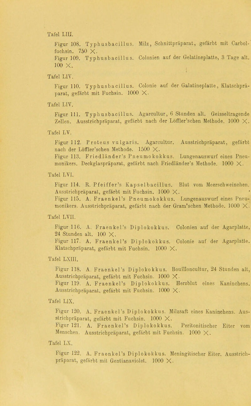 Figur 108. Typhusbacillus. Milz, Schnittpräparat, gefärbt mit Carbol- fuchsin. 750 X. Figur 109. Typhusbacillus. Colonien auf der Gelatineplatte, 3 Tage alt. 100 X. Tafel LIV. Figur 110. Typhusbacillus. Colonie auf der Galatineplatte, Klatschprä- parat, gefärbt mit Fuchsin. 1000 X- Tafel LIV. Figur 111. Typhusbacillus. Agarcultur, 6 Stunden alt. Geisseltragende Zellen. Ausstrichpräparat, gefärbt nach der Löffler’schen Methode. 1000 X. Tafel LV. Figur 112. P roteus vulgaris. Agarcultur. Ausstrichpräparat, gefärbt nach der Löffler’schen Methode. 1500 X. Figur 113. Friedländer’s Pneumokokkus. Lungen aus wurf eines Pneu- monikers. Deckglaspräparat, gefärbt nach Friedländer’s Methode. 1000 X. Tafel LVI. Figur 114. R. Pfeiffer’s Kapselbacillus. Blut vom Meerschweinchen. Ausstrichpräparat, gefärbt mit Fuchsin. 1000 X. Figur 115. A. Fraenkel’s Pneumokokkus. Lungenauswurf eines Pneu- monikers. Ausstrichpräparat, gefärbt nach der Gram’schen Methode. 1000 X- Tafel LVII. Figur 116. A. Fraonkel’s Diplokokkus. Colonien auf der Agarplatte, 24 Stunden alt. 100 X. Figur 117. A. Fraenkel’s Diplokokkus. Colonie auf der Agarplatte. Klatschpräparat, gefärbt mit Fuchsin. 1000 X. Tafel LXIII. Figur 118. A. Fraenkel’s Diplokokkus. Bouilloncultur, 24 Stunden alt, Ausstrichpräparat, gefärbt mit Fuchsin. 1000 X- Figur 119. A. Fraenkel’s Diplokokkus. Herzblut eines Kaninchens. Ausstrichpräparat, gefärbt mit Fuchsin. 1000 X- Tafel LIX. Figur 120. A. Fraenkol’s Diplokokkus. Milzsaft eines Kaninchens. Aus- strichpräparat, gefärbt mit Fuchsin. 1000 X. Figur 121. A. Fraenkel’s Diplokokkus. Peritonitischer Eiter vom Menschen. Ausstrichpräparat, gefärbt mit Fuchsin. 1000 X. Tafel LX. Figur 122. A. Fraenkel’s Diplokokkus. Meningitischer Eiter. Ausstrich- präparat, gefärbt mit Gentianaviolet. 1000 X-