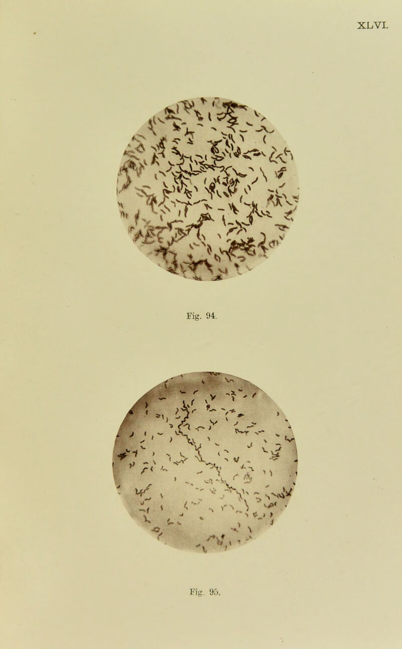 Fig. 94.