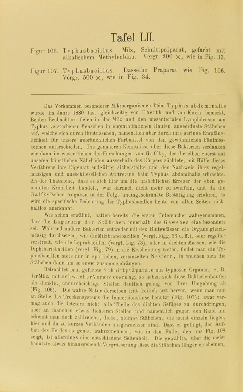 Figur 106. 'ryphusbacillus. Milz, Schnittpräparat, gefärbt mit alkalischem Methylenblau. Vergr. 200 X, wie in Fig. 33. Figur 107. Typhusbacillus. Dasselbe Präparat wie Fig. 106. Vergr. 500 X, wie in Fig. 34. Das Vorkommen besonderer Mikroorganismen beim Typhus abdominalis wurde im .Jahre 1880 fast gleichzeitig von Eberth und von Koch bemerkt. Beiden Beobachtern fielen in der Milz und den mesenterialen Lymphdrüsen am Typhus verstorbener Menschen in eigenthümlichen Haufen angeordnete Stäbchen auf, welche sich durch ihrAussehen, namentlich aber durch ihre geringe Empfäng- lichkeit für unsere gebräuchlichen Farbmittel von den gewöhnlichen Fäulniss- keimen unterschieden. Die genaueren Kenntnisse über diese Bakterien verdanken wir dann im wesentlichen den Forschungen von Gaffky, der dieselben zuerst auf unseren künstlichen Nährböden ausserhalb des Körpers züchtete, mit Hülfe dieses Verfahrens ihre Kigenart endgültig sicherstellte und den Nachweis ihres regel- mässigen und ausschliesslichen Auftretens beim Typhus abdominalis erbrachte. An der Thatsache, dass es sich hier um die ursächlichen Erreger der eben ge- nannten Krankheit handele, war darnach nicht mehr zu zweifeln, und da die Gaffky’schen Angaben in der Folge, uneingeschränkte Bestätigung erfuhren, so wird die specifische Bedeutung der Typhusbacillen heute von allen Seiten rück- haltlos anerkannt. Wie schon erwähnt, hatten bereits die ersten üntersucher wahrgenommen, dass die Lagerung der Stäbchen innerhalb des Gewebes eine besondere sei. Während andere Bakterien entweder mit den Blutgefässen die Organe gleich- mässig durchsetzen, wie die Milzbrandbacillen (vergl. Figg. 33 u.ff.), oder regellos verstreut, wie die Leprabacillen (vergl. Fig. 73), oder in dichten Massen, wie die Diphtheriebacillen (vergl. Fig. 79) in die Erscheinung treten, findet man die Ty- phusbacillen stets nur in spärlichen, vereinzelten Nestern, in welchen sich die Stäbchen dann um so enger zusammendrängen. Betrachtet man gefärbte Schnittpräparate aus typhösen Organen, z. B. der Milz, mit sch wach er Vergrösserung, so heben sich diese Bakterienhaufen als dunkle,, undurchsichtige Stellen deutlich genug von ihrer Umgebung ab (Fig. 106). Die wahre Natur derselben tritt freilich erst hervor, wenn man nun an Stelle des Trockensystems die fmmersionslinse benutzt (Fig. 107): zwar ver- mag auch die letztere nicht alle Theile des dichten Gefüges zu durchdringen, aber an manchen etwas lichteren Stellen und namentlich gegen den Rand hin erkennt man doch zahlreiche, dicke, plumpe Stäbchen, die meist einzeln liegen, hier und da zu kurzen Verbänden ausgewachsen sind. Dass es gelingt, den Auf- bau des Herdes so genau wahrzunohmen, wie in dem Palle, den uns Fig. 108 zeigt, ist allerdings eine entschiedene Seltenheit. Die gewählte, über die mei.st benutzte etwas hinausgehende Vergrösserung lässt dieStäbchen länger erscheinen,